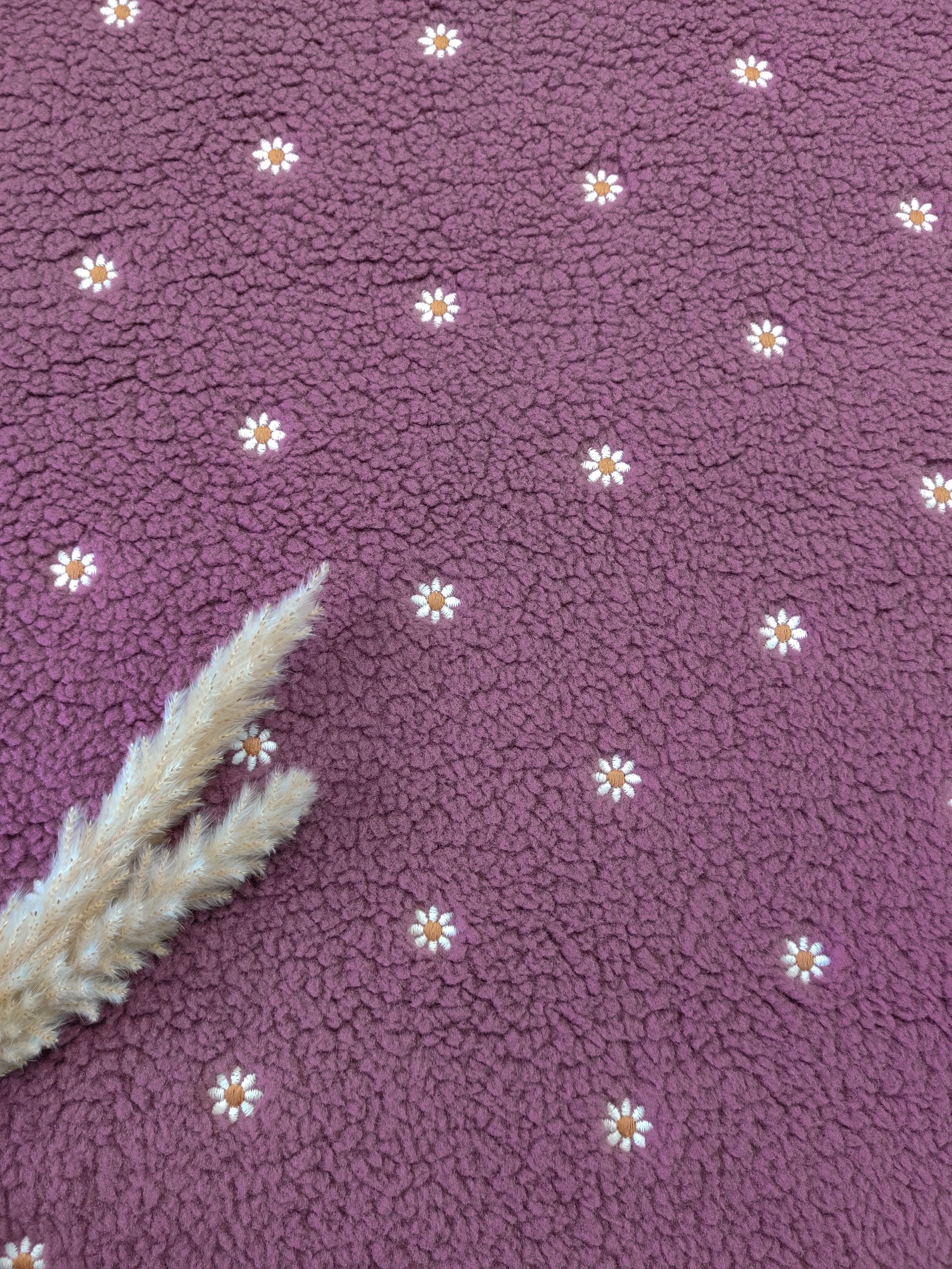 Teddy stretch prune - Pâquerettes brodées