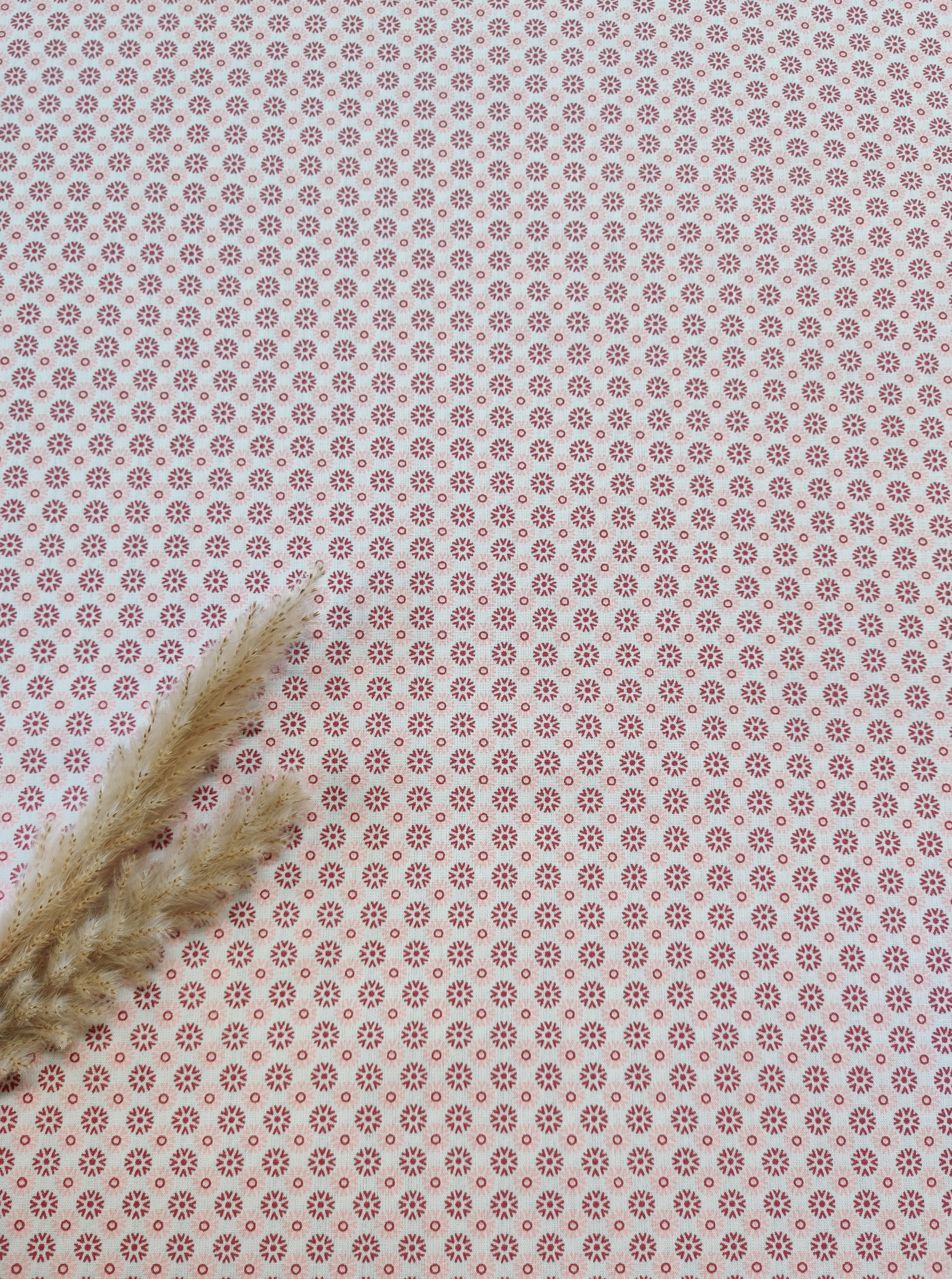 Popeline de coton écrue - Petites fleurs en tons de rouge