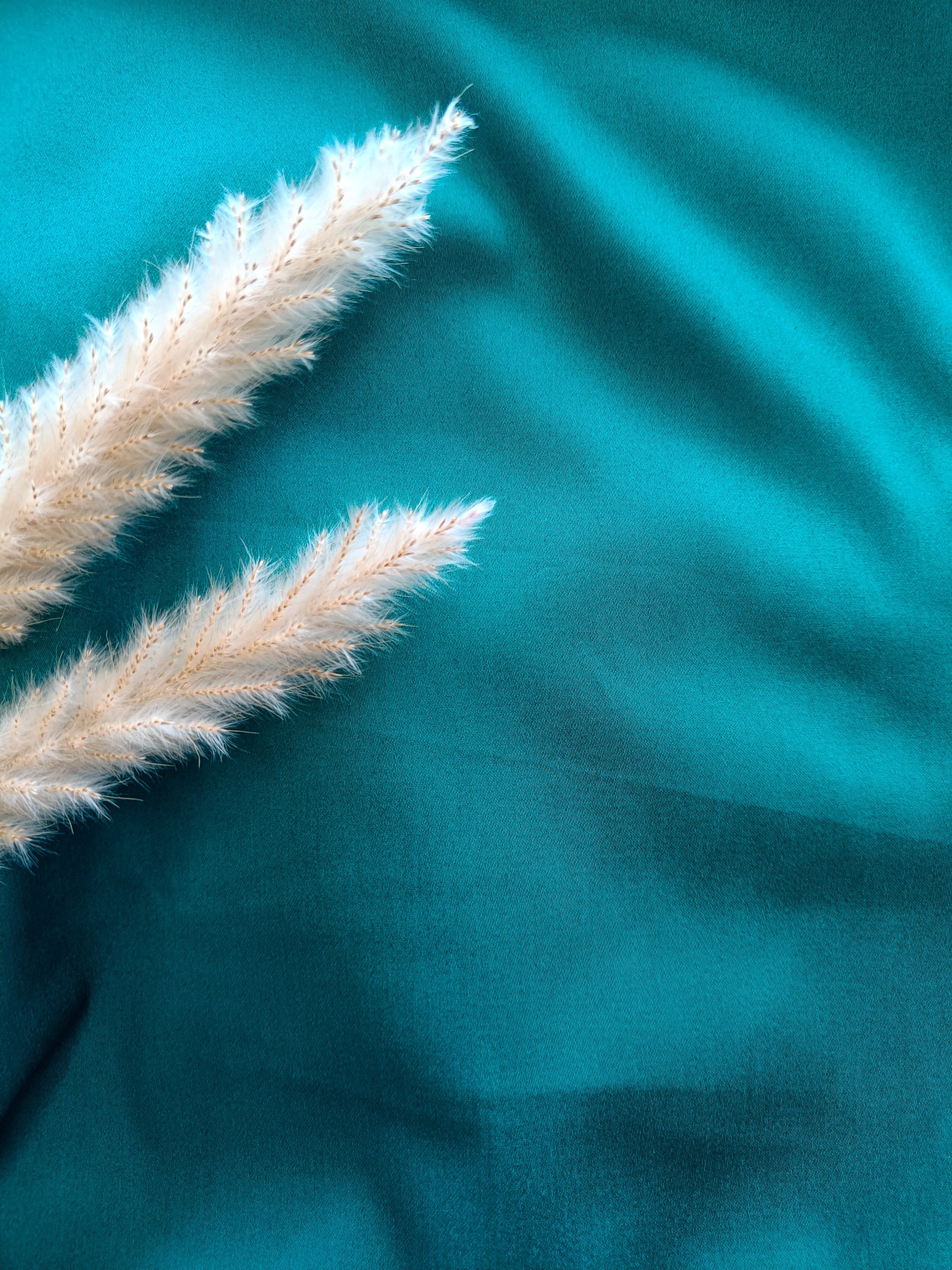 Satin de Coton stretch - Vert Pétrole