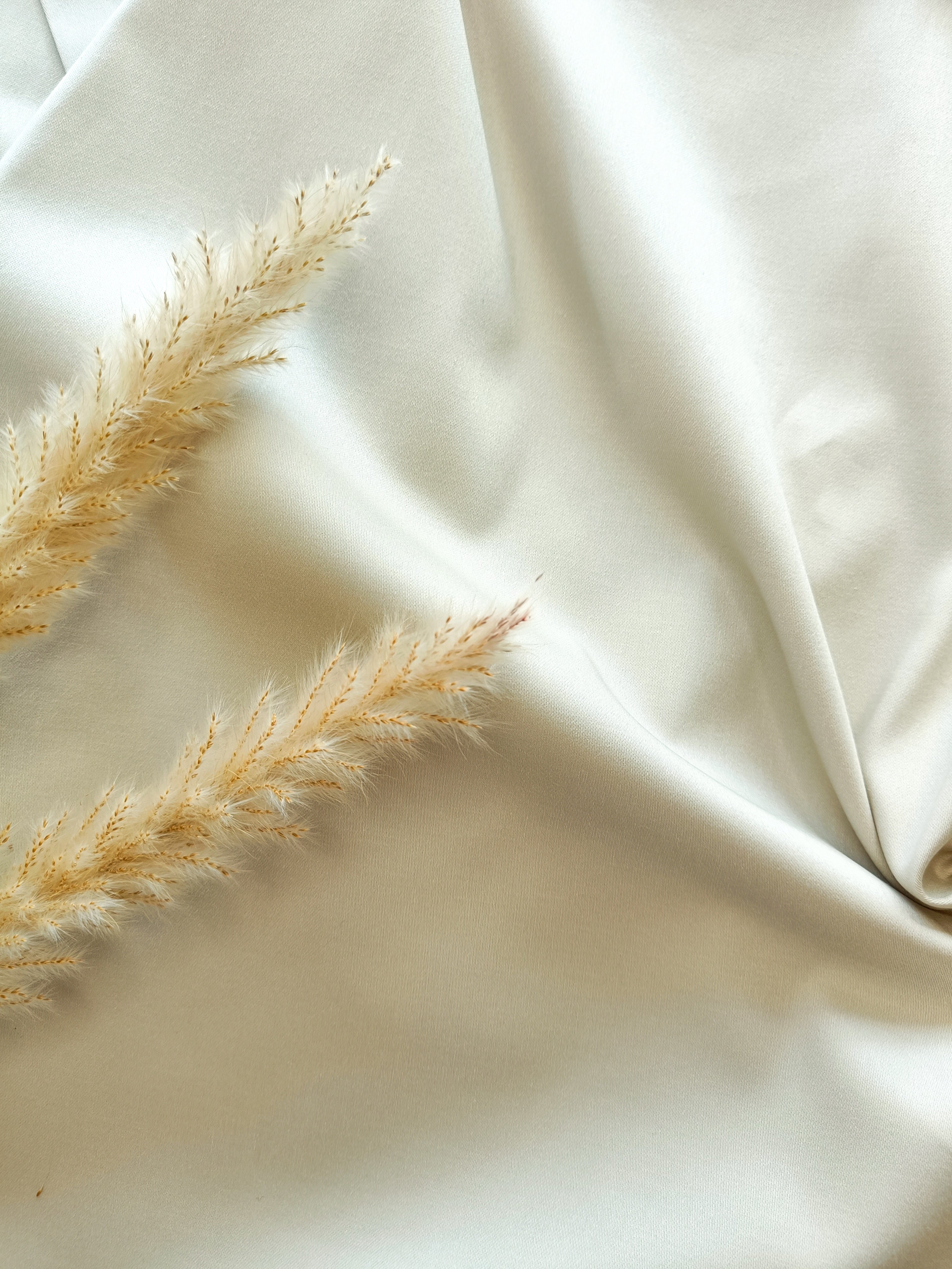 Satin de Coton stretch - Beige grisé