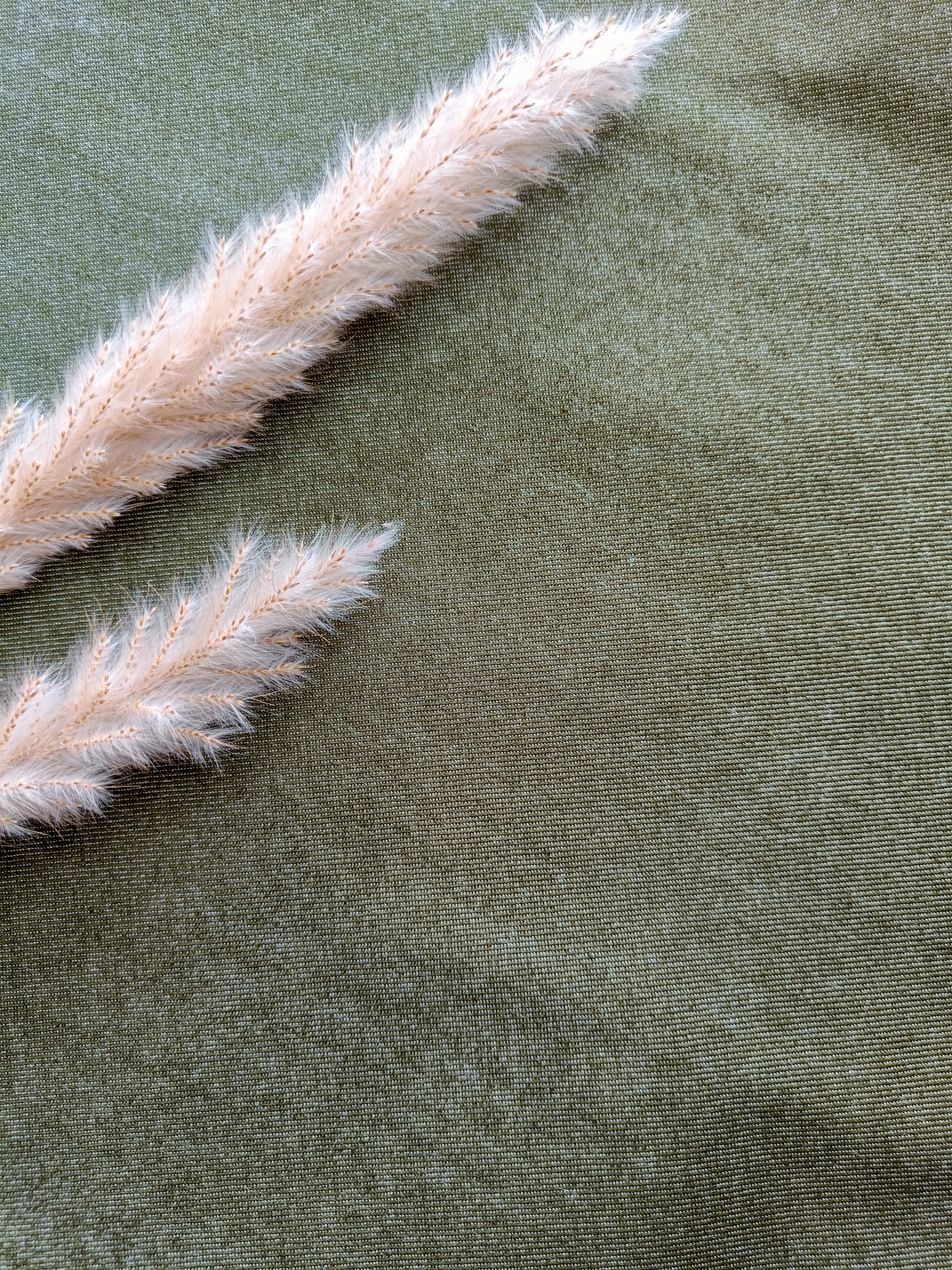 Jeans stretch - Vert kaki