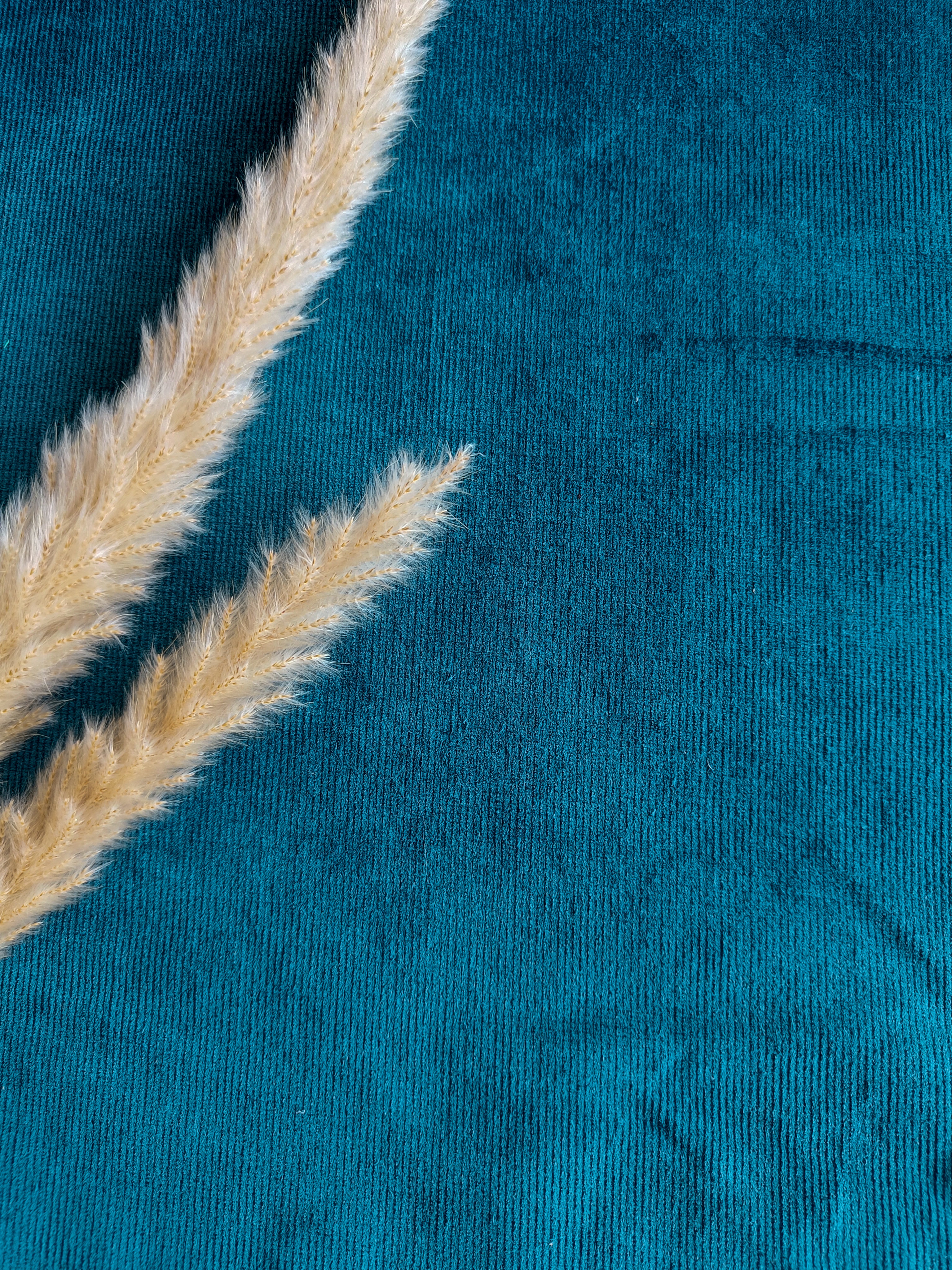 Velours milleraies stretch - Pétrole