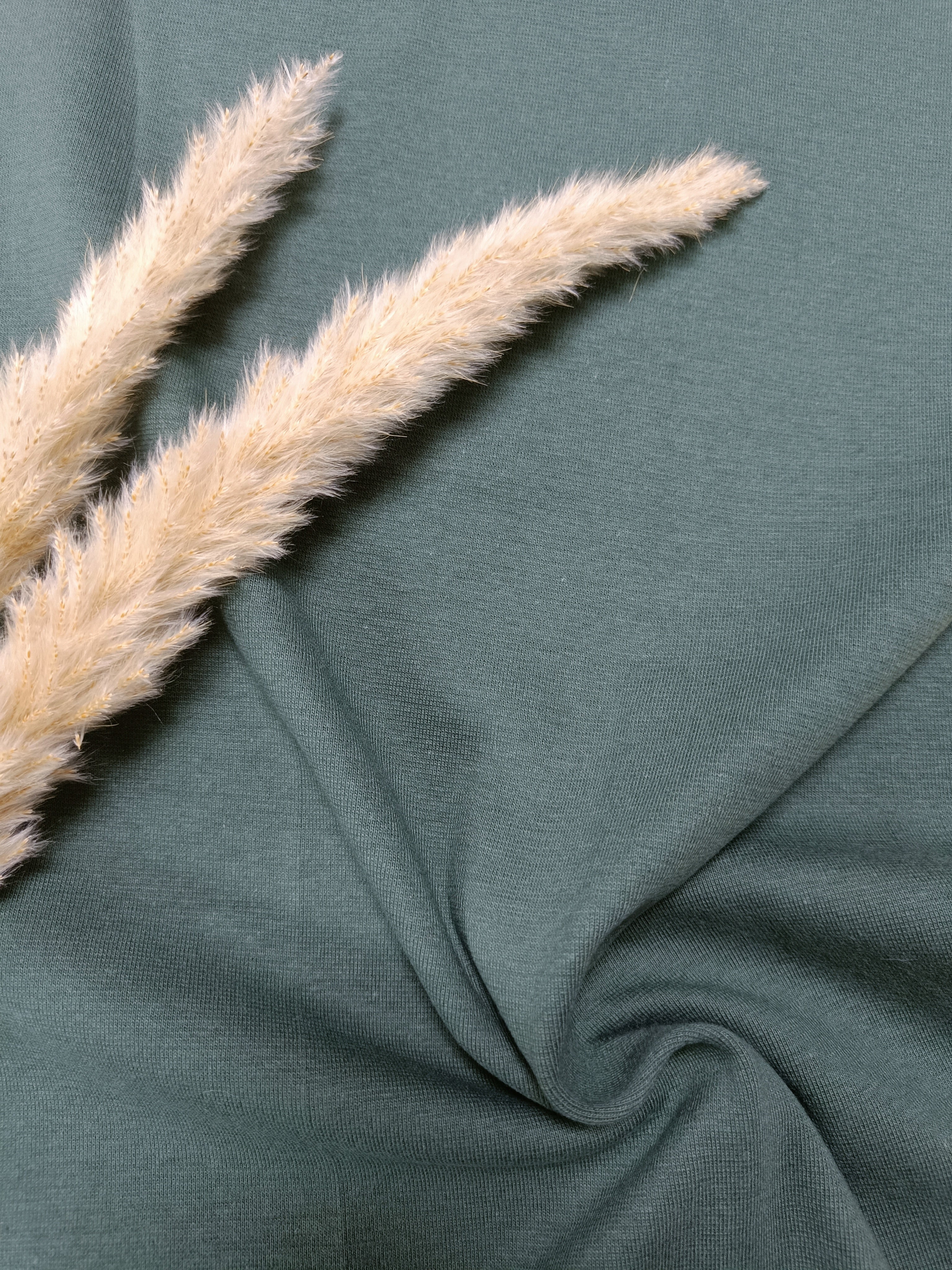 Bord-côte BIO - Vert forêt