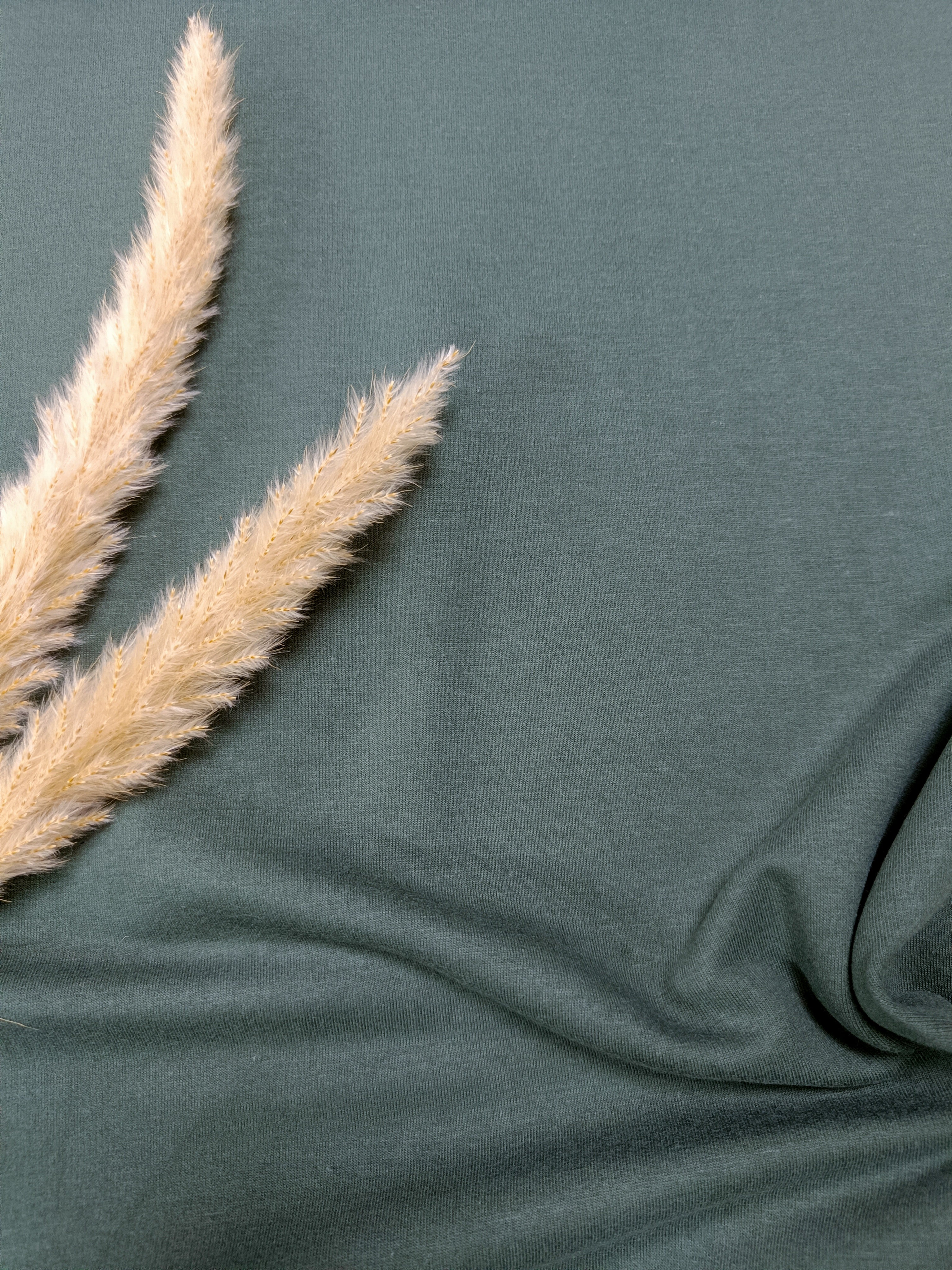 Jersey de coton BIO - Vert forêt