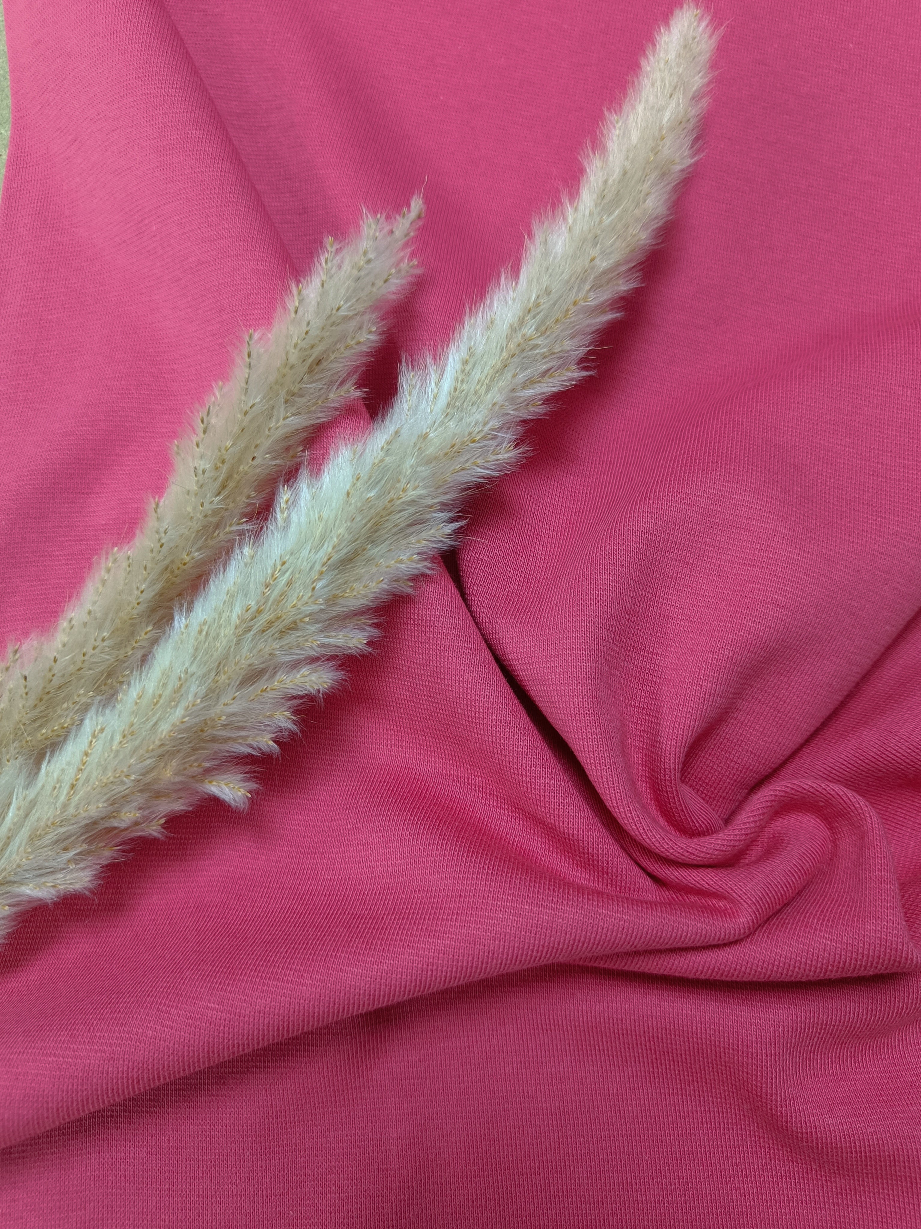 Jersey de coton BIO - Rose berry