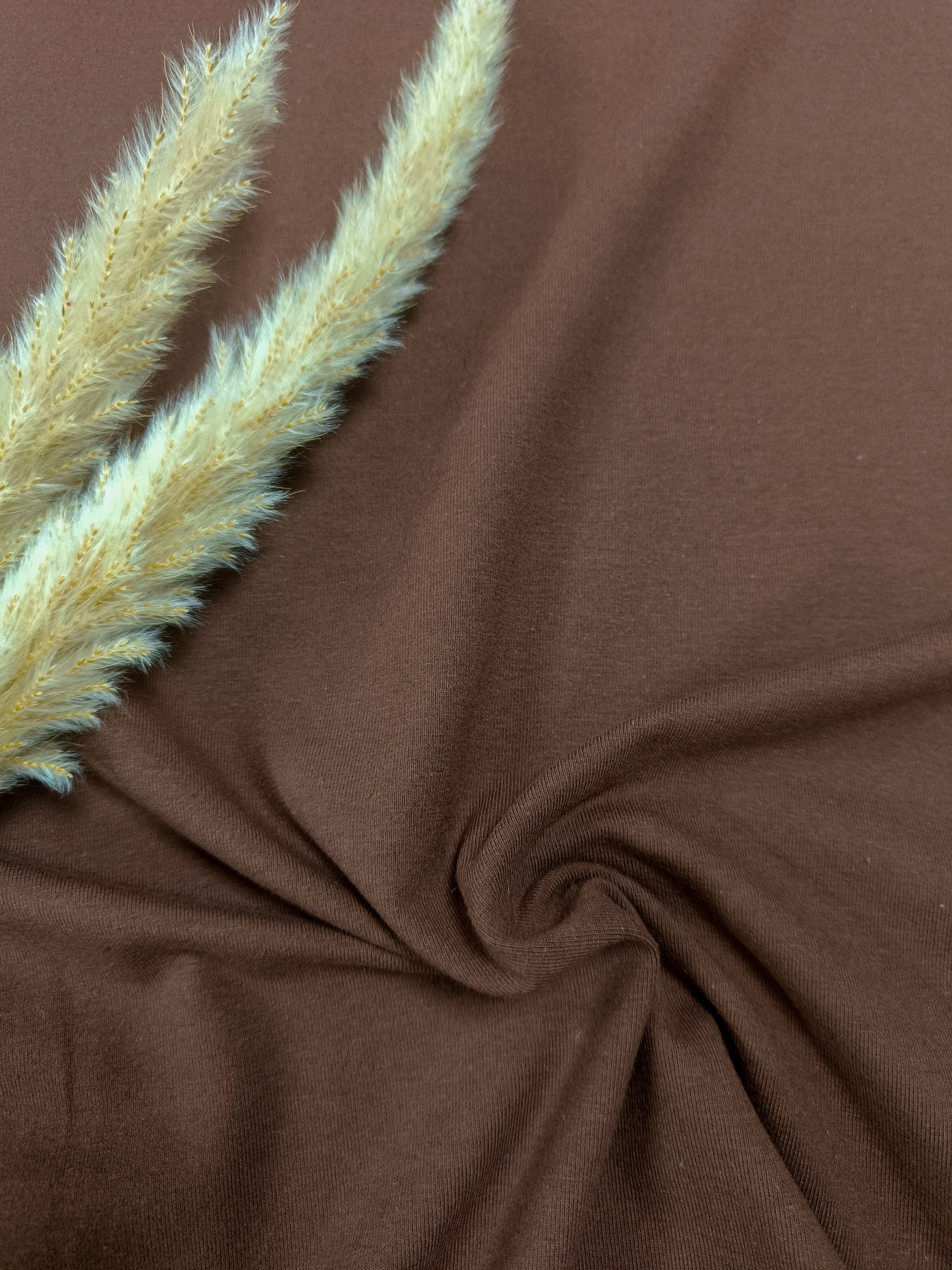 Jersey de coton BIO - Chocolat