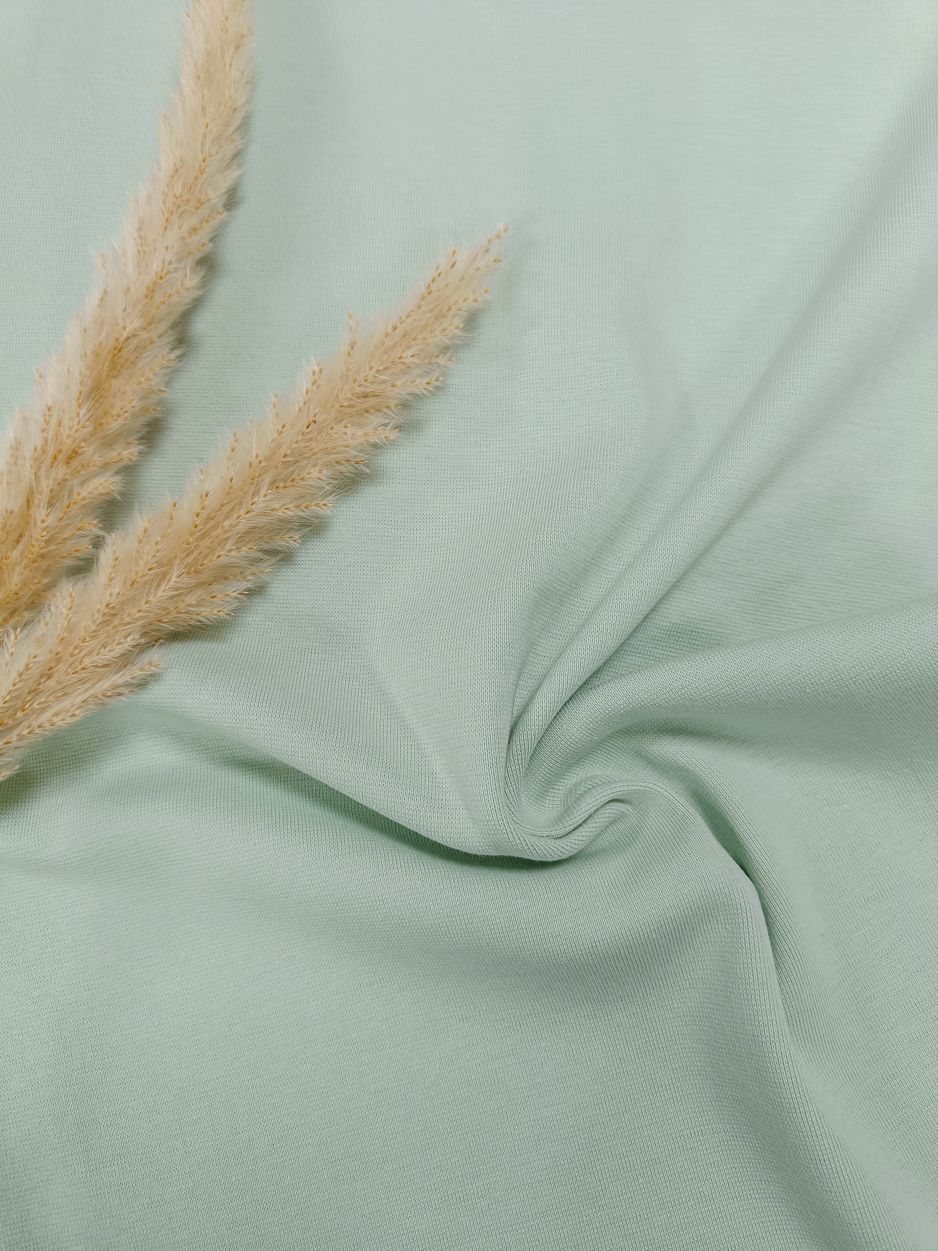 Jersey de coton BIO - Menthe claire