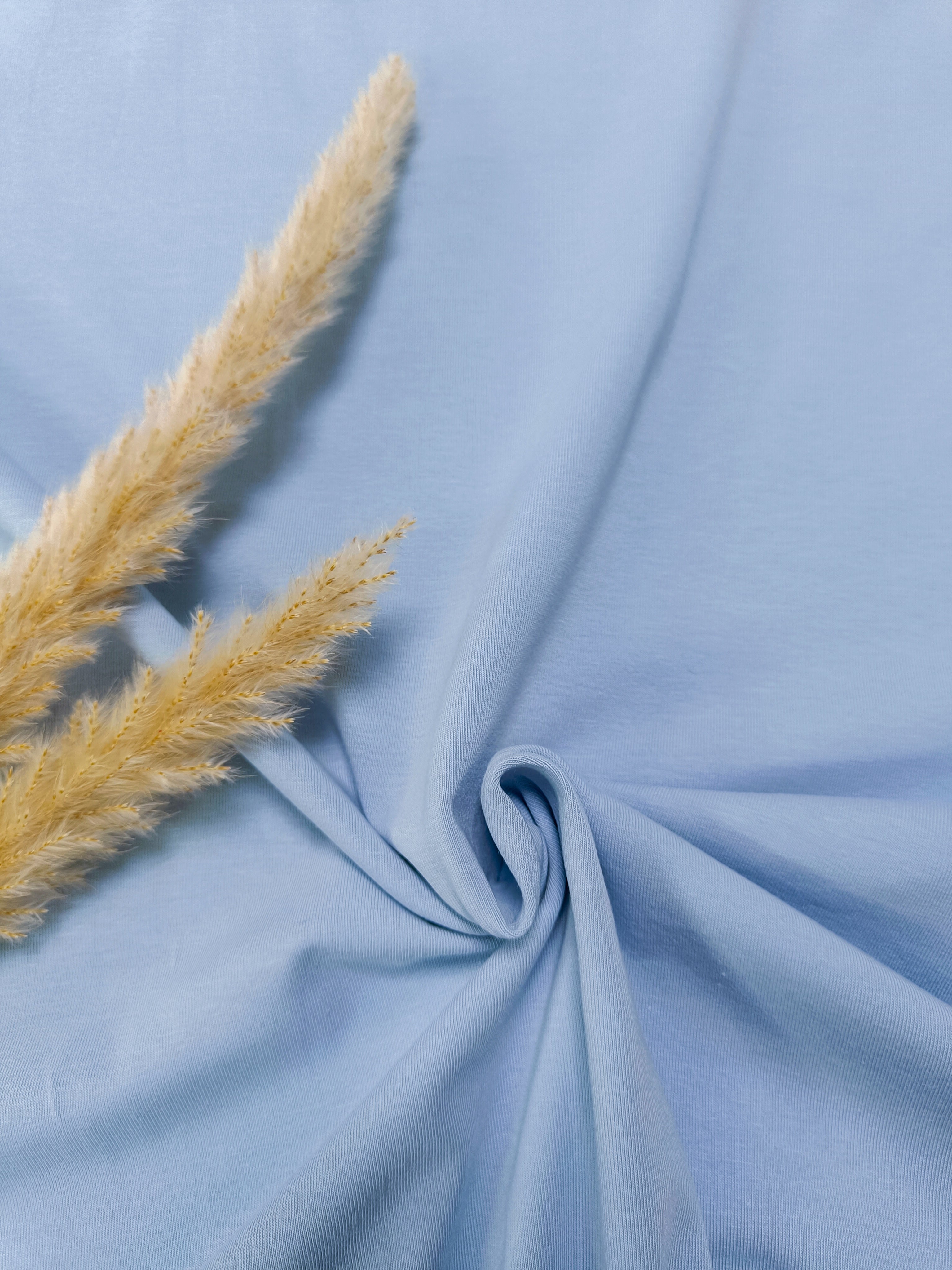 Jersey de coton BIO - Bleu clair