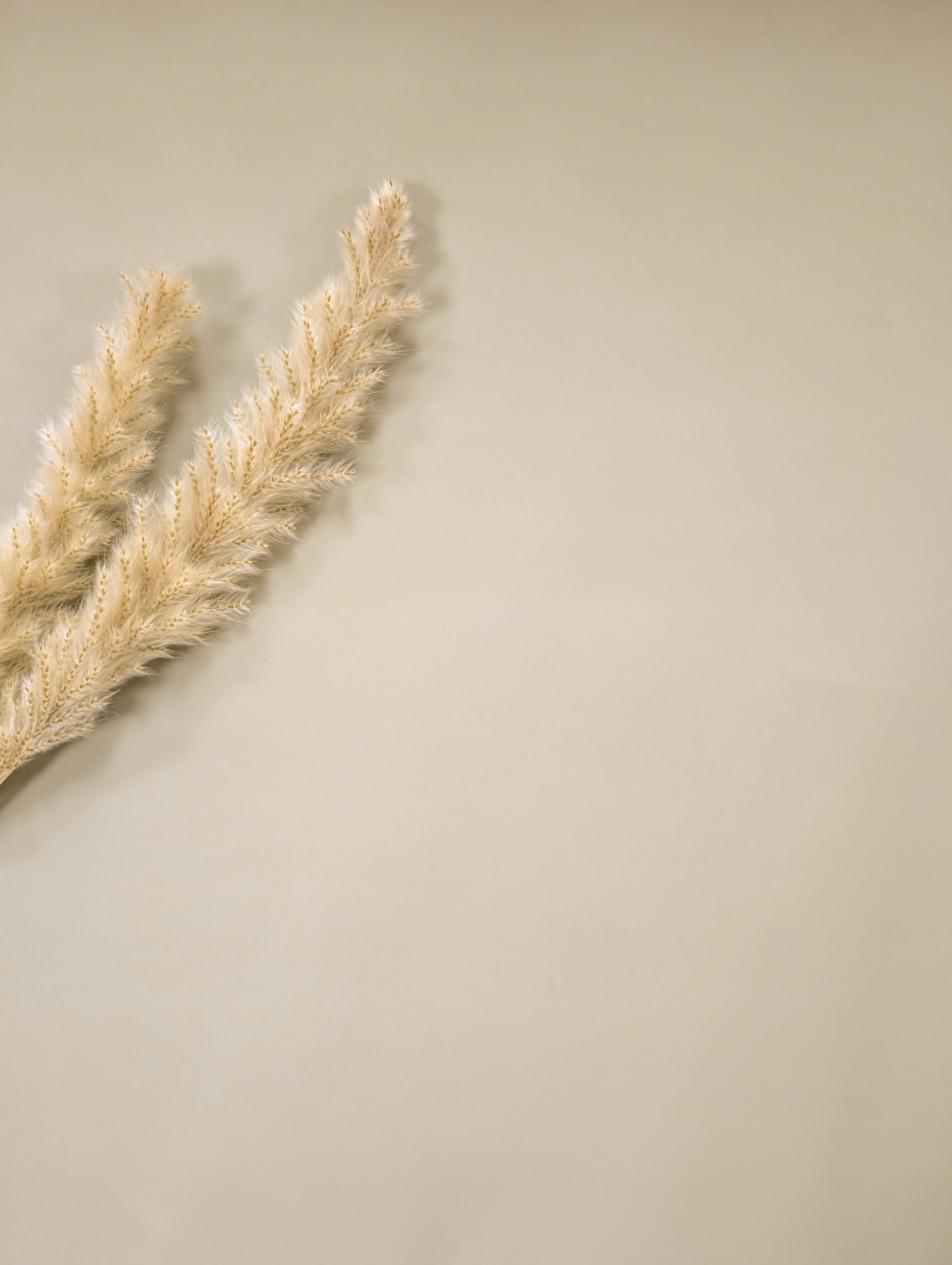 Imperméable doux - Beige champagne