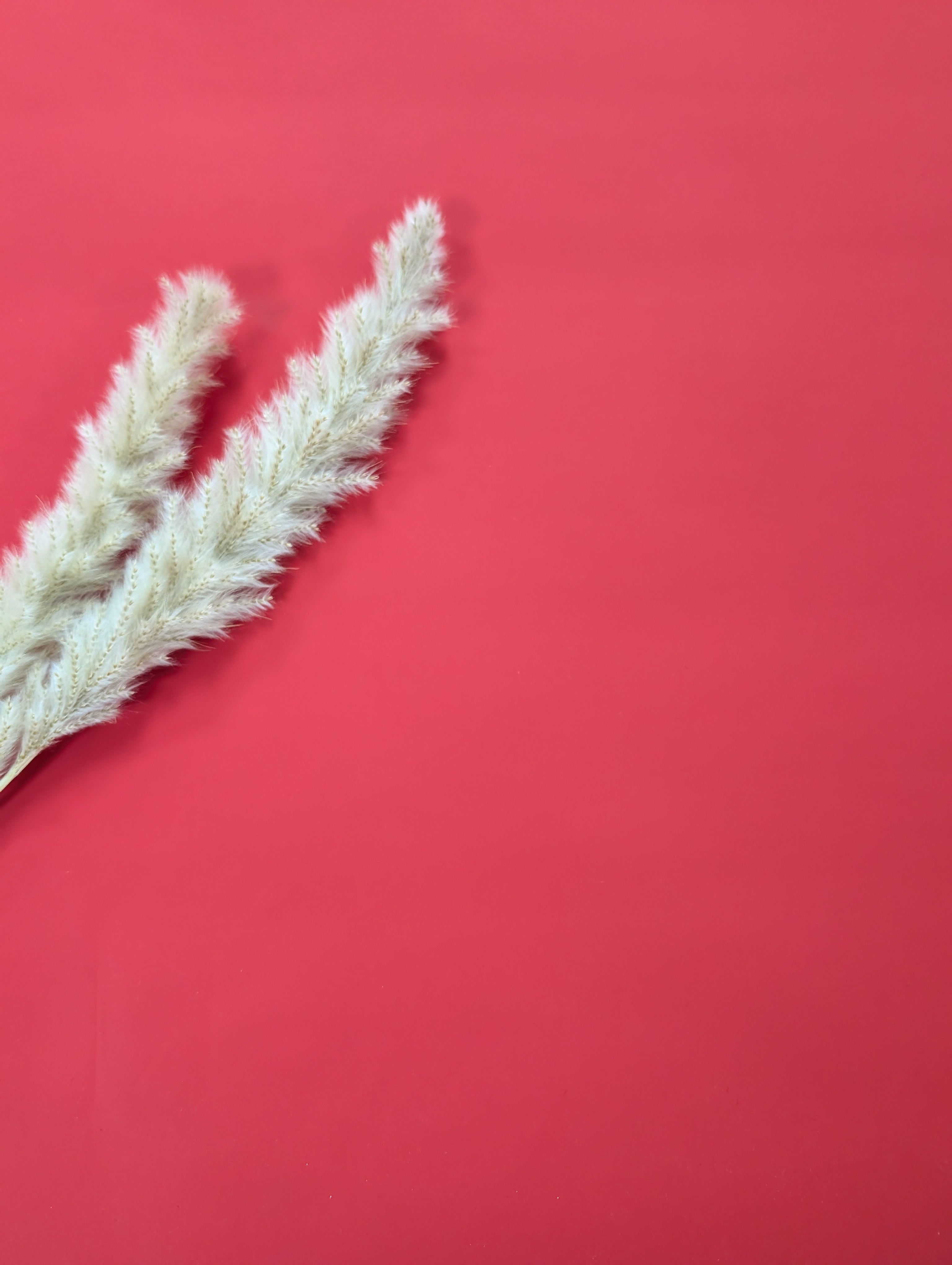 Imperméable doux - Rouge