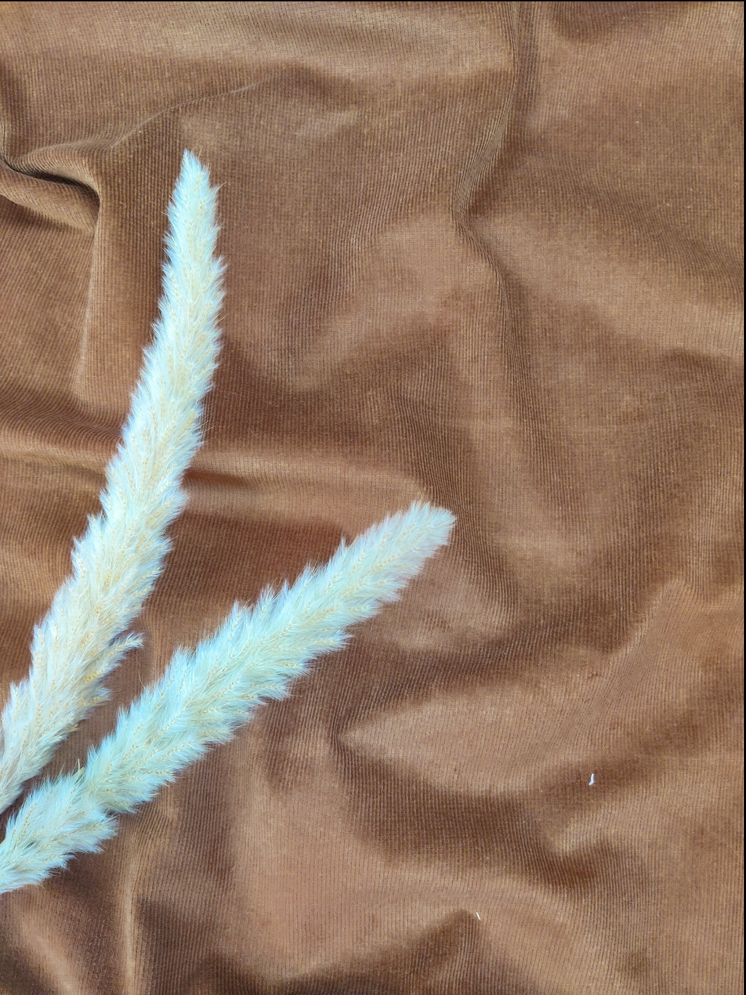 Velours milleraies stretch - camel