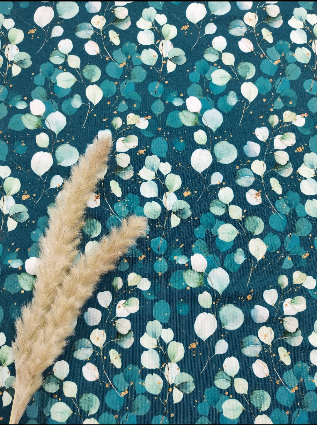 Jersey de coton pétrole - Eucalyptus élégant