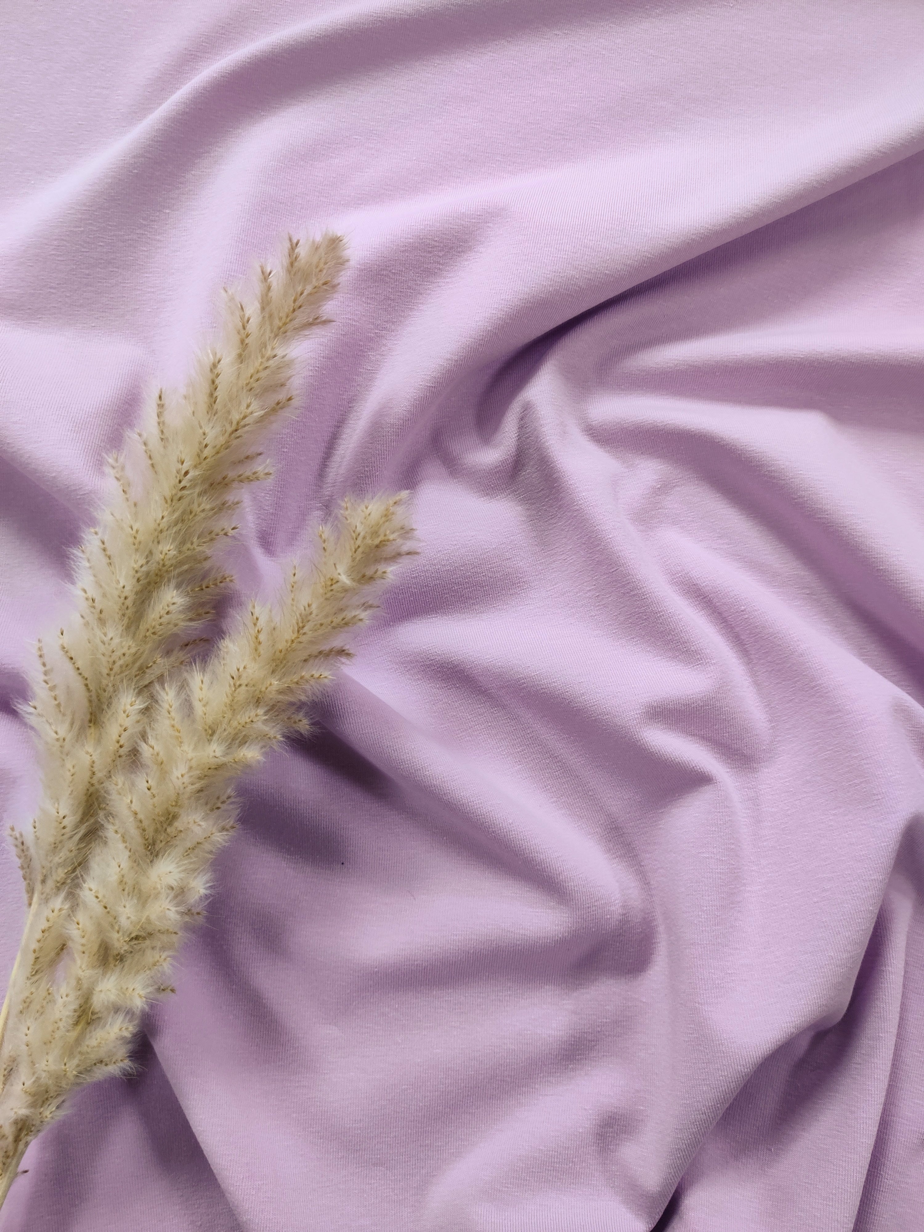 French Terry - Lilas