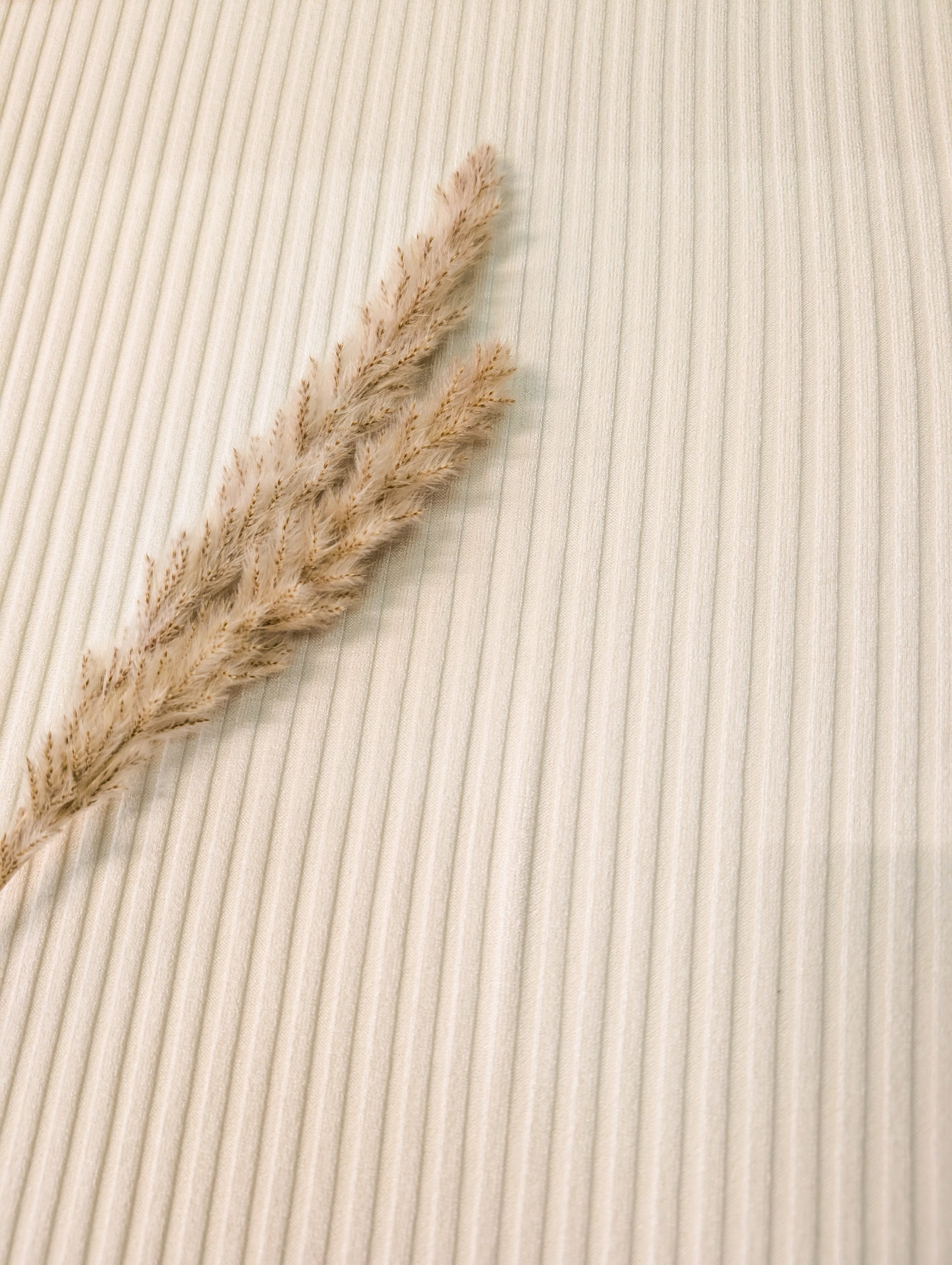 Maille côtelée fluide - Ecru