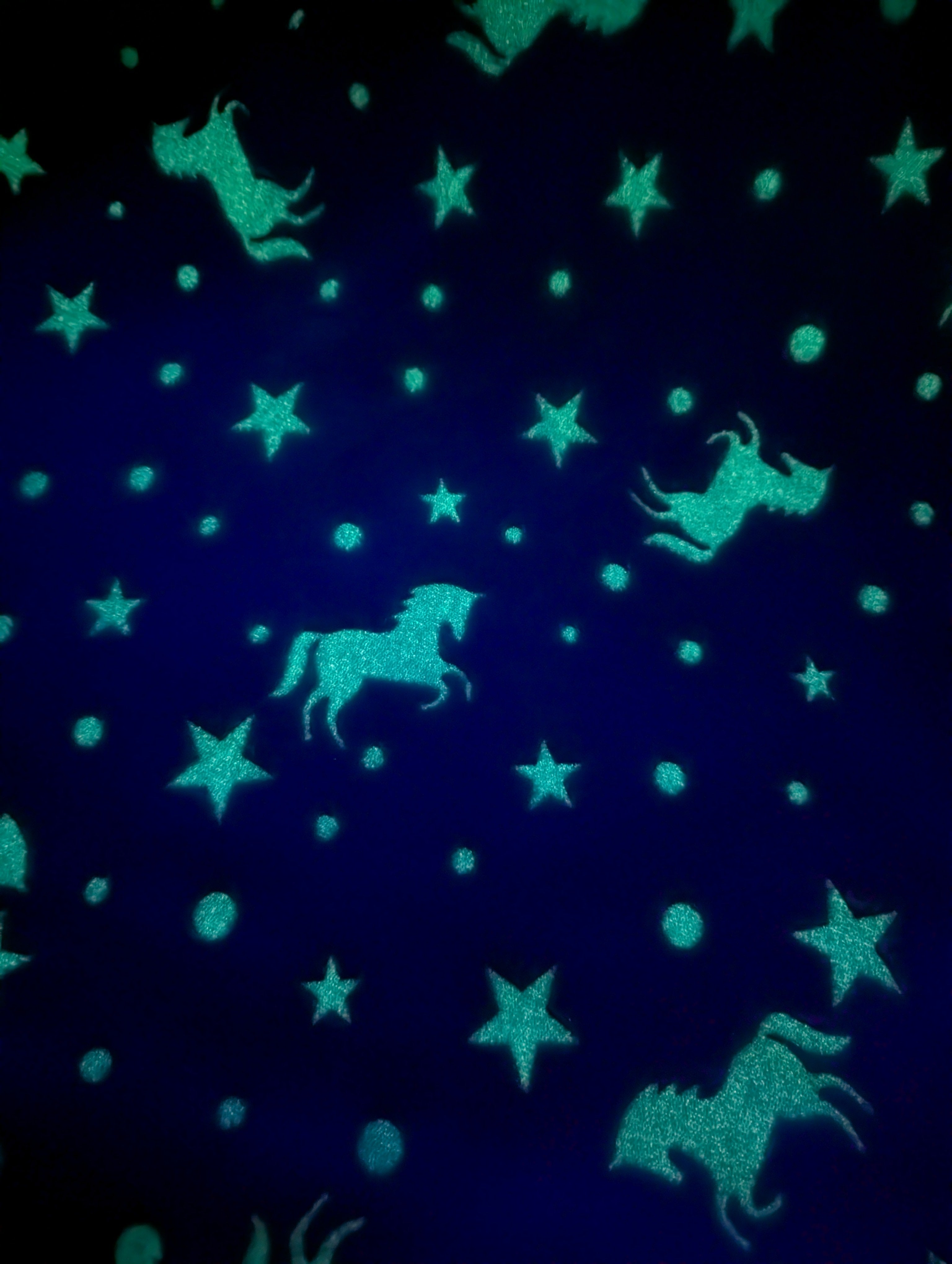 Tissu doudou phosphorescent arc-en-ciel - licornes célestes