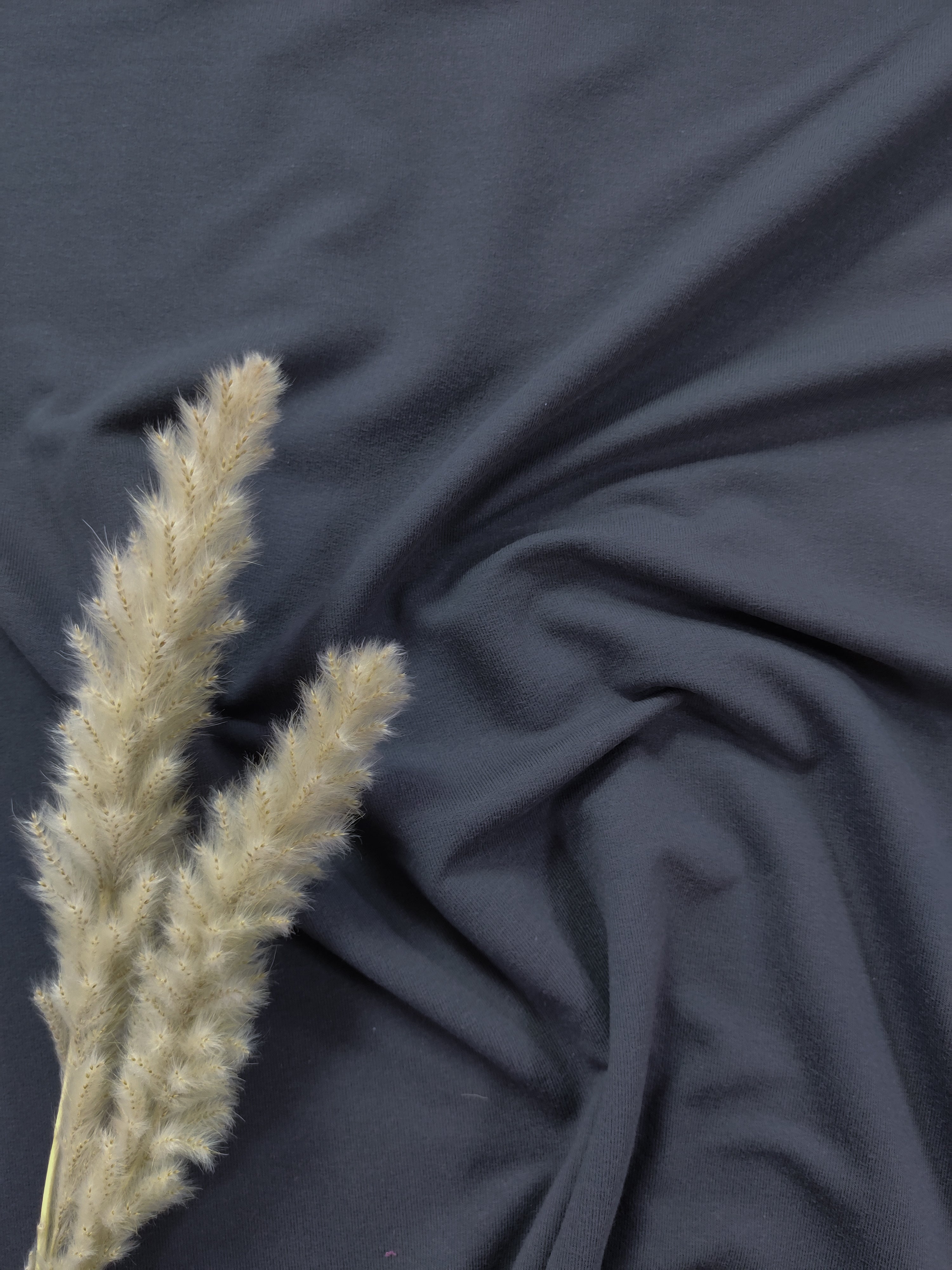 Jersey de coton BIO - Anthracite