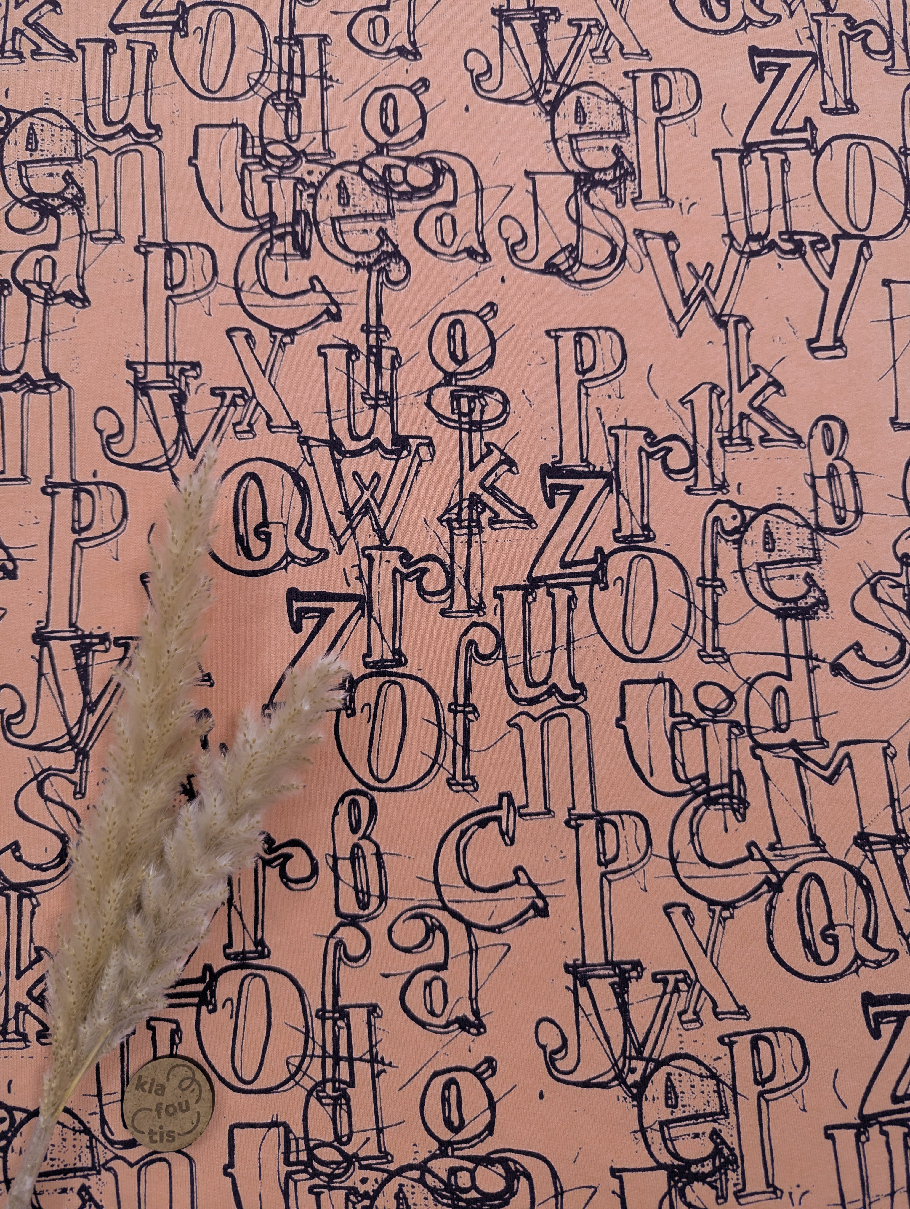 French Terry - Alphabet en folie