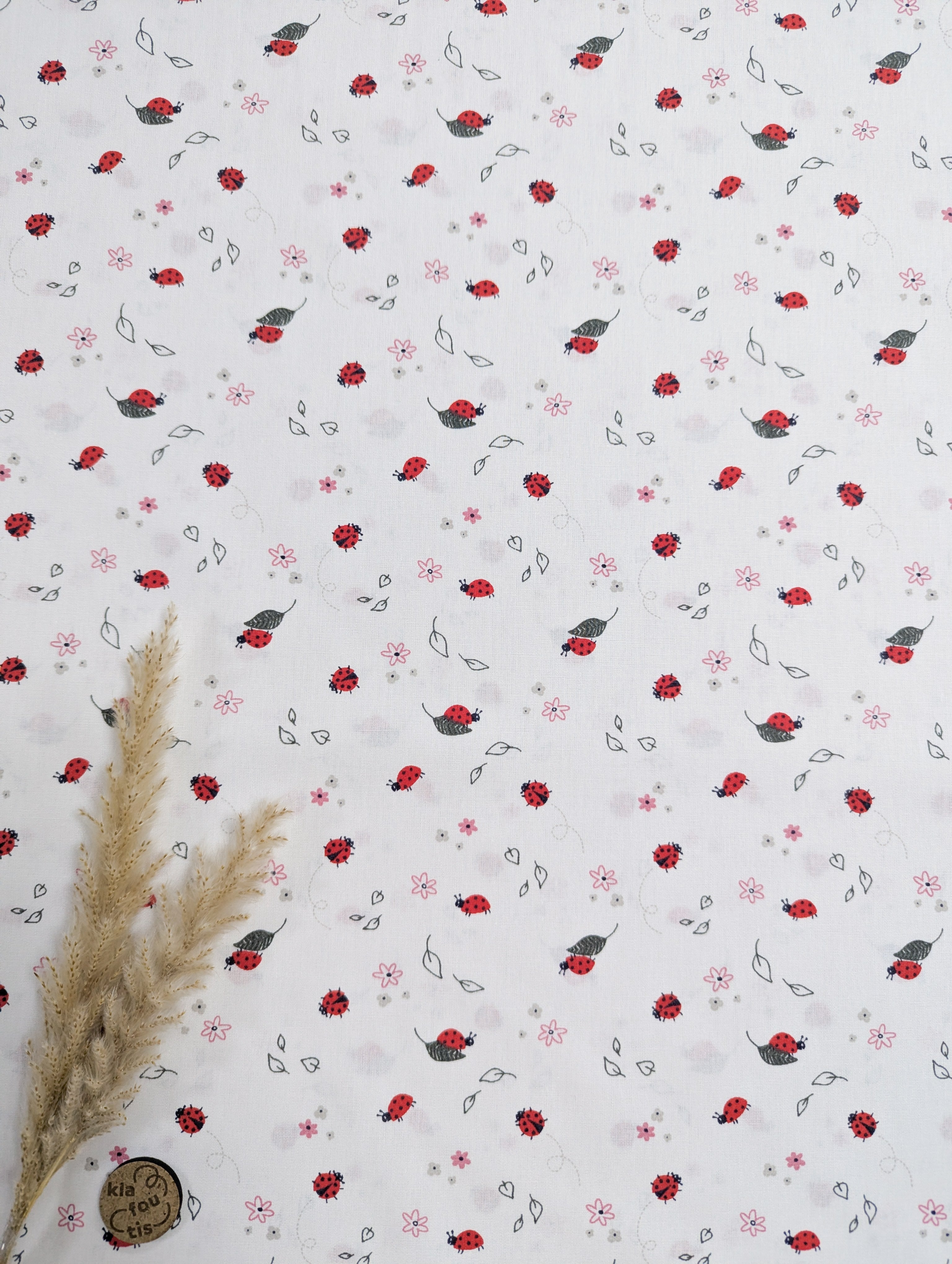 Popeline de coton écru - coccinelles