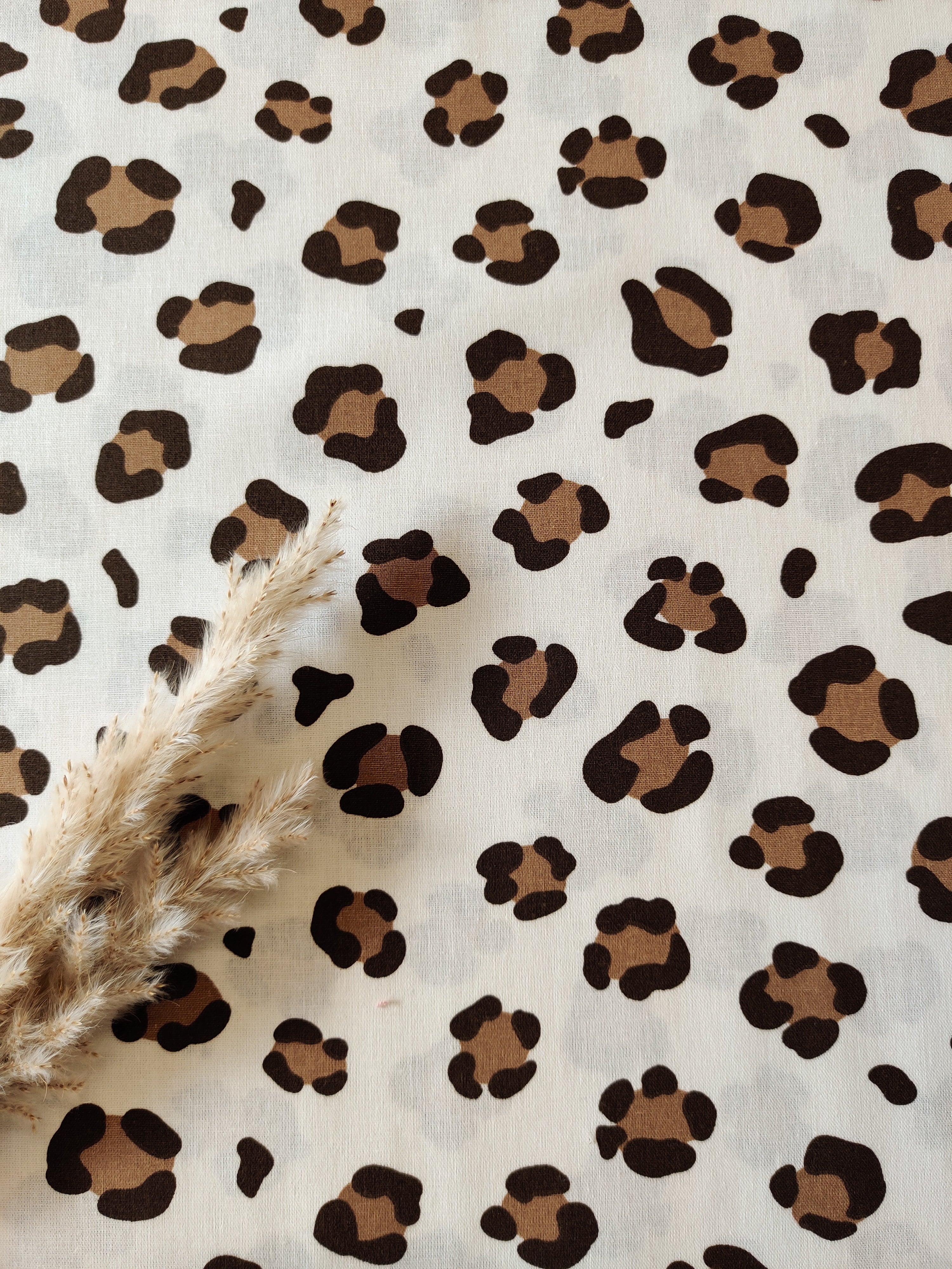 Popeline de coton écrue - Big panther
