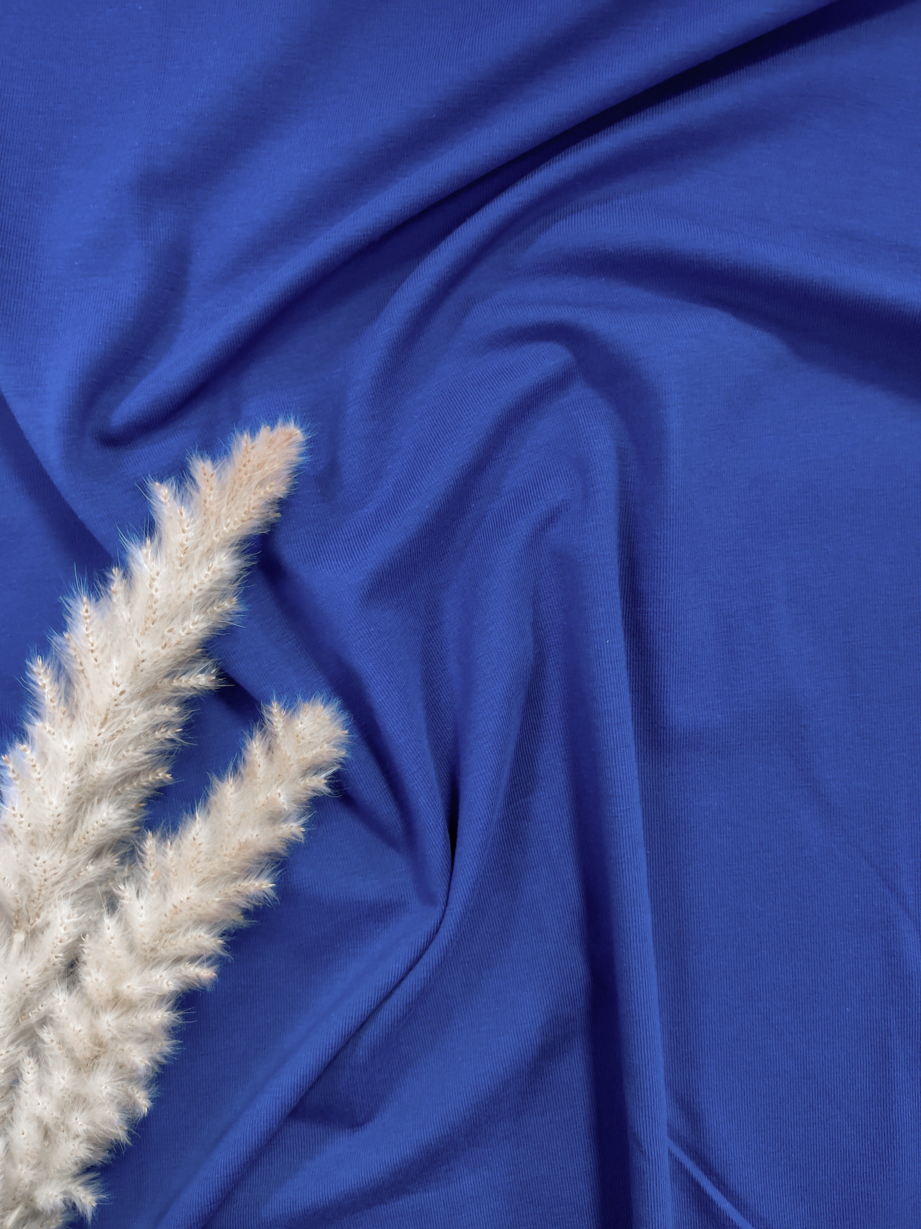 Bord-côte BIO - Bleu roi