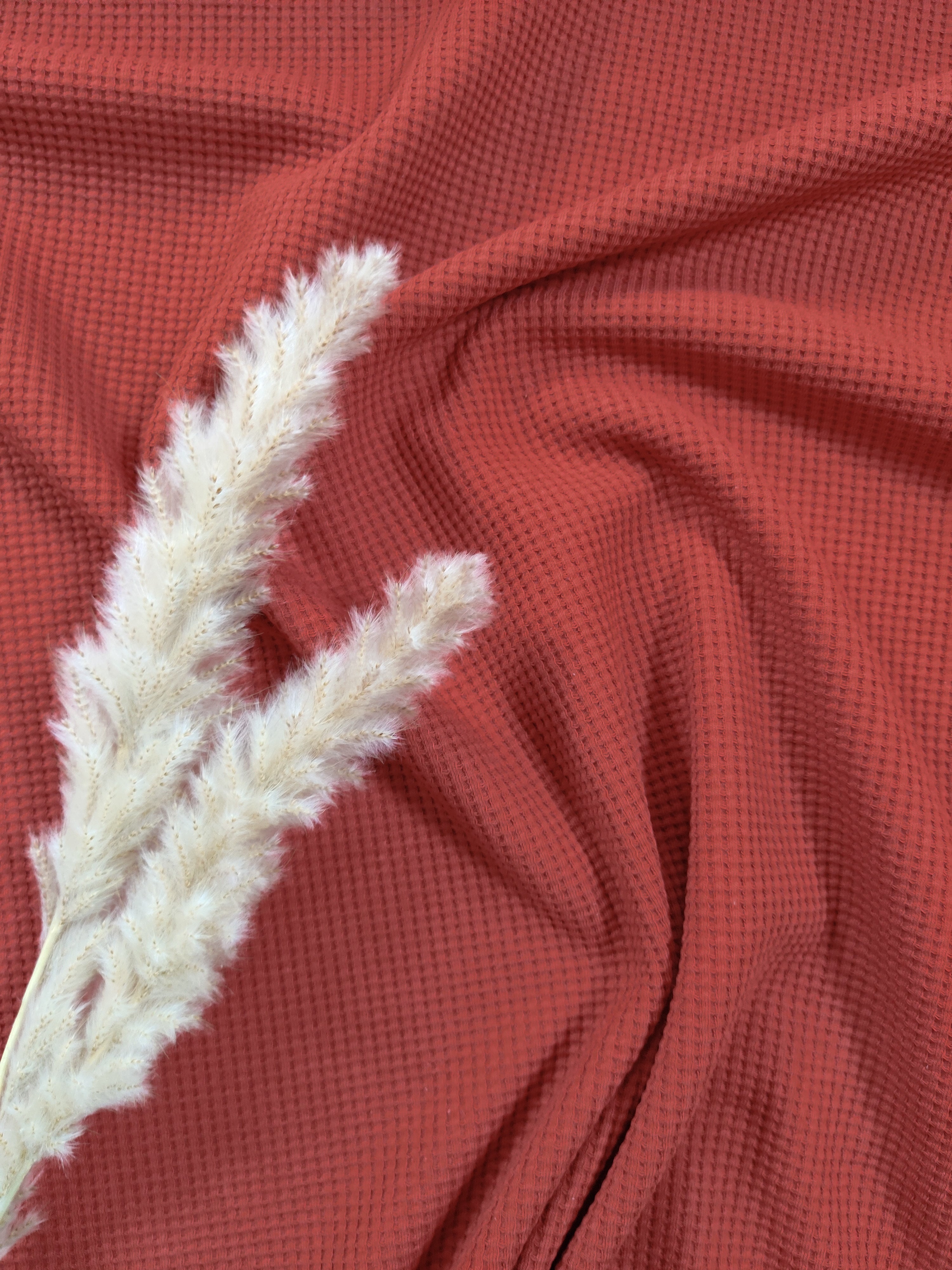 Jersey de coton gaufré BIO - Rouille