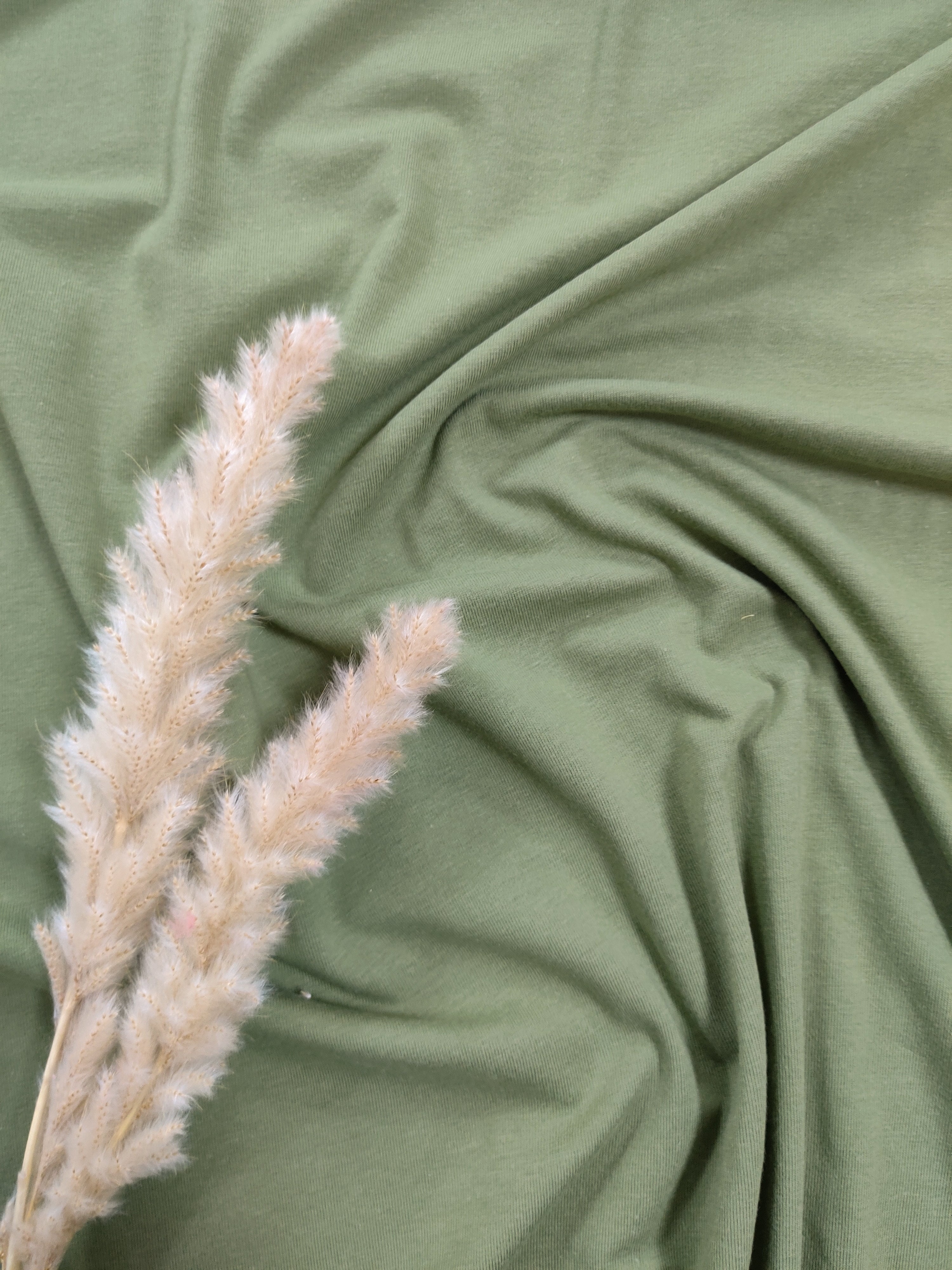 French terry BIO - vert olive