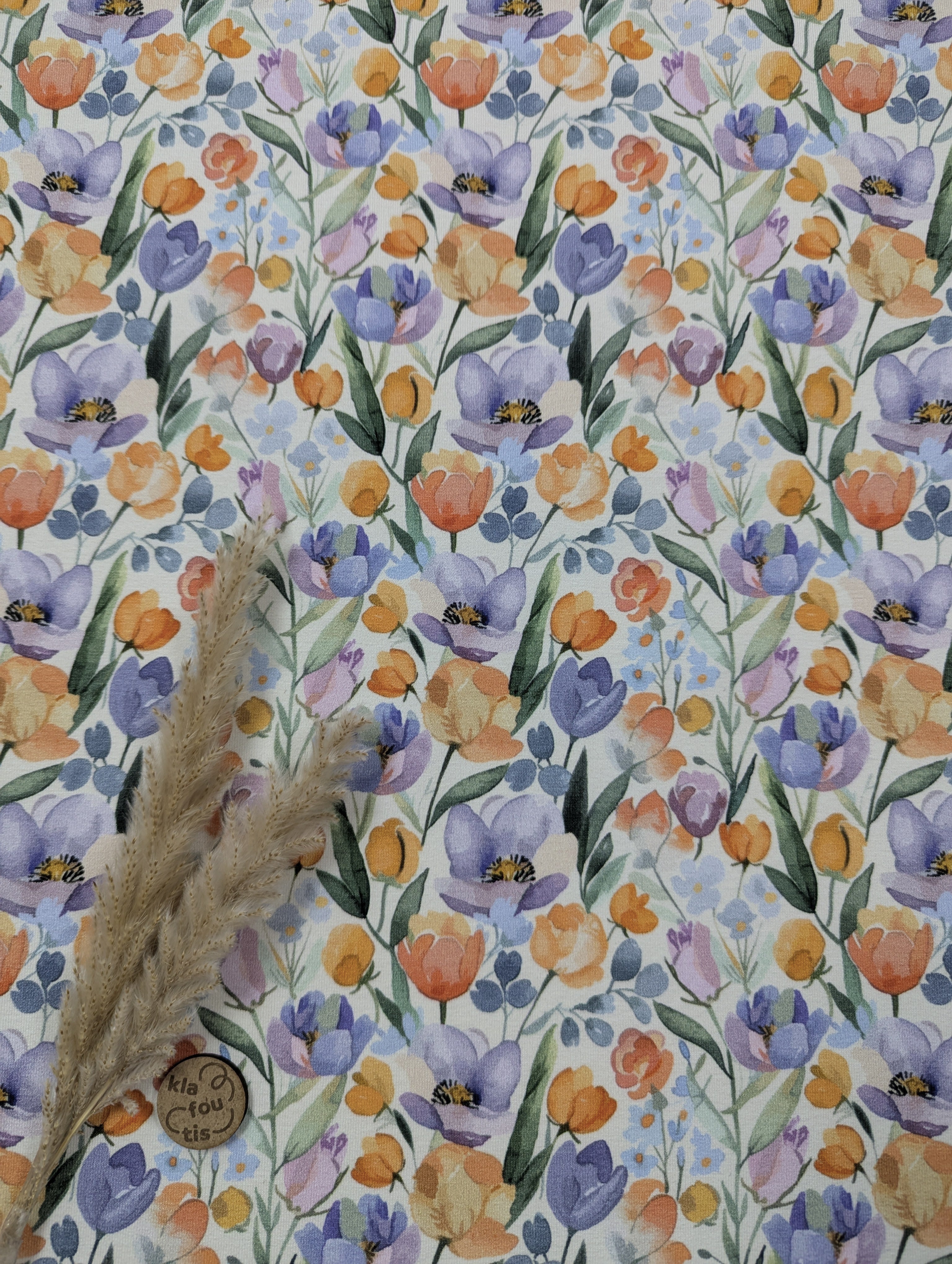 French Terry BIO écru - champs coloré