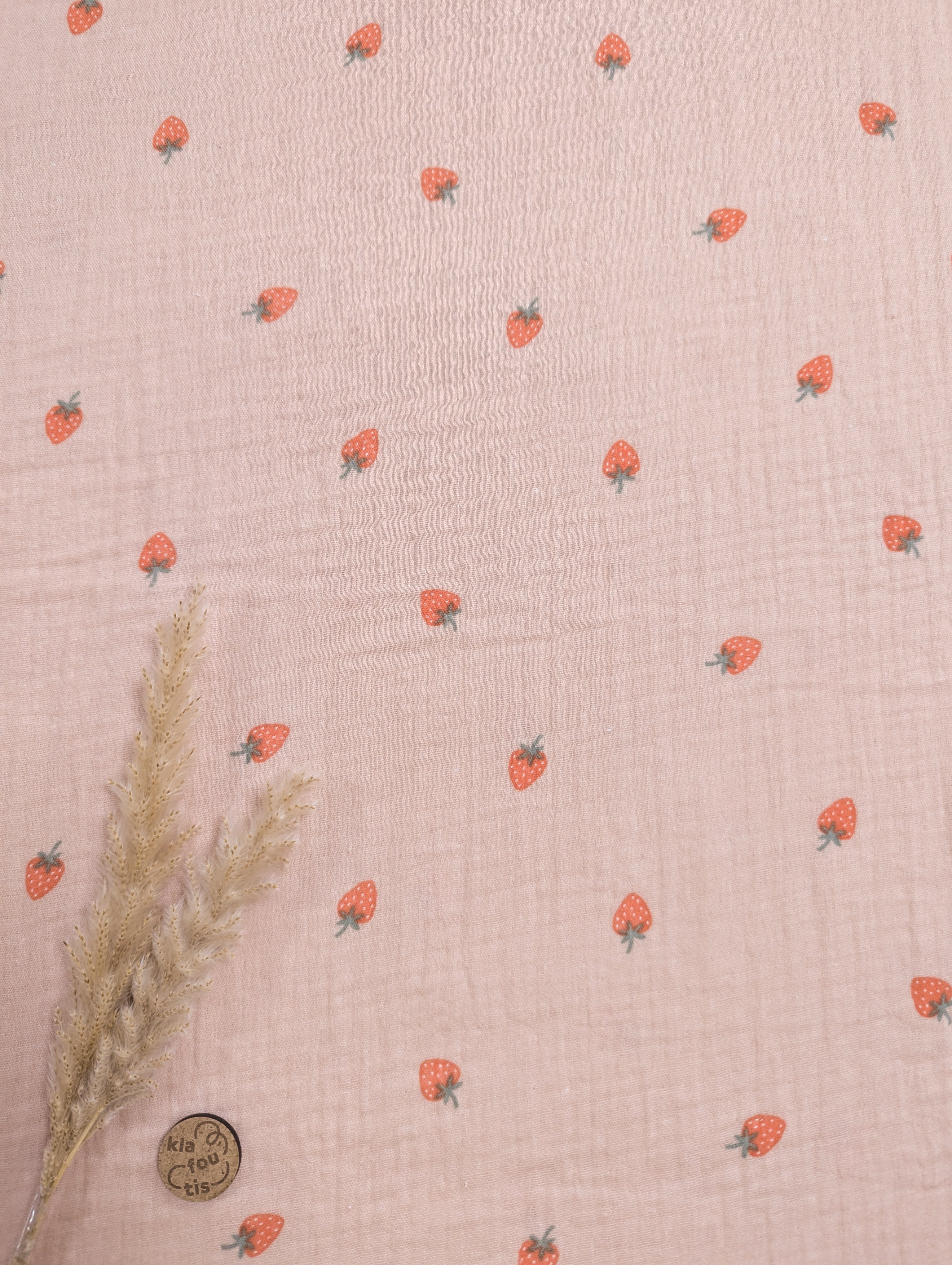 Double gaze saumon - petites fraises