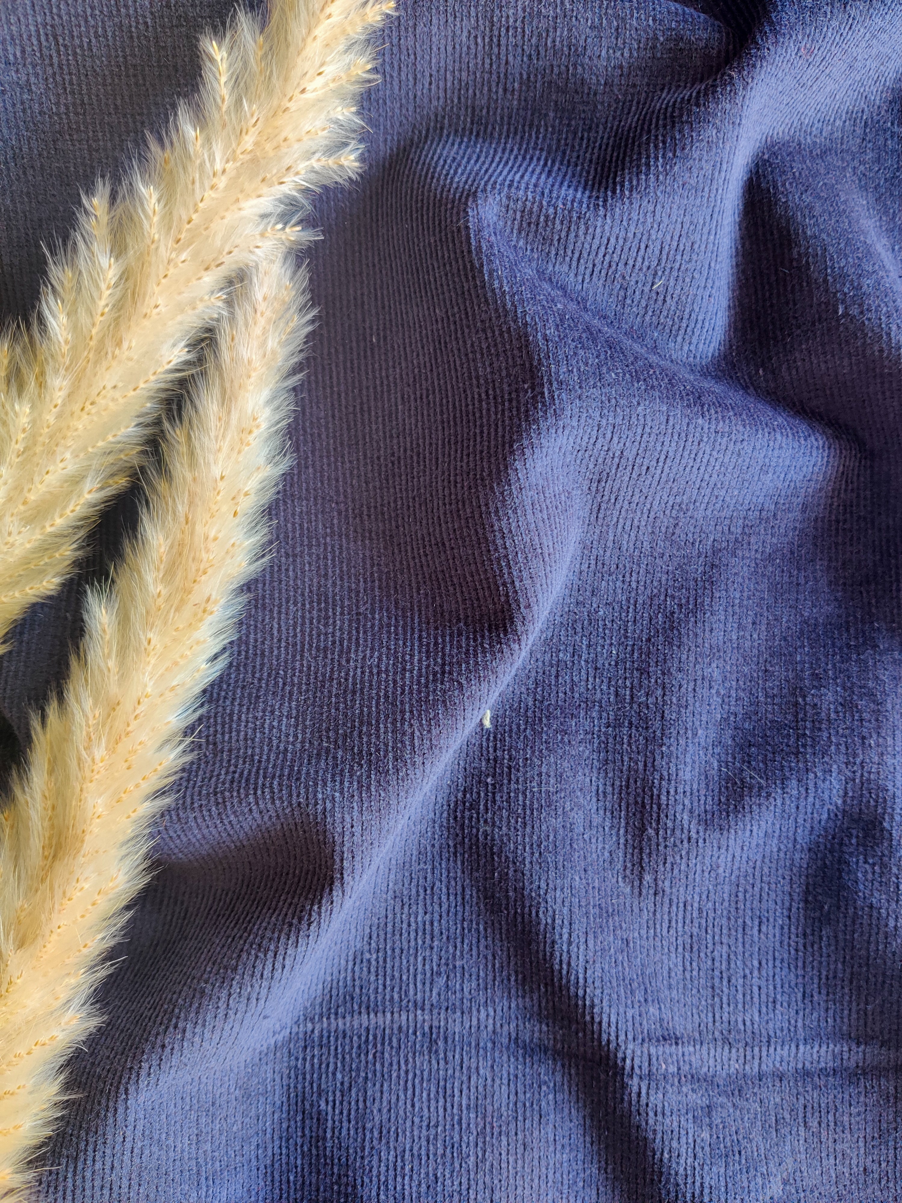 Velours milleraies stretch - Bleu marine