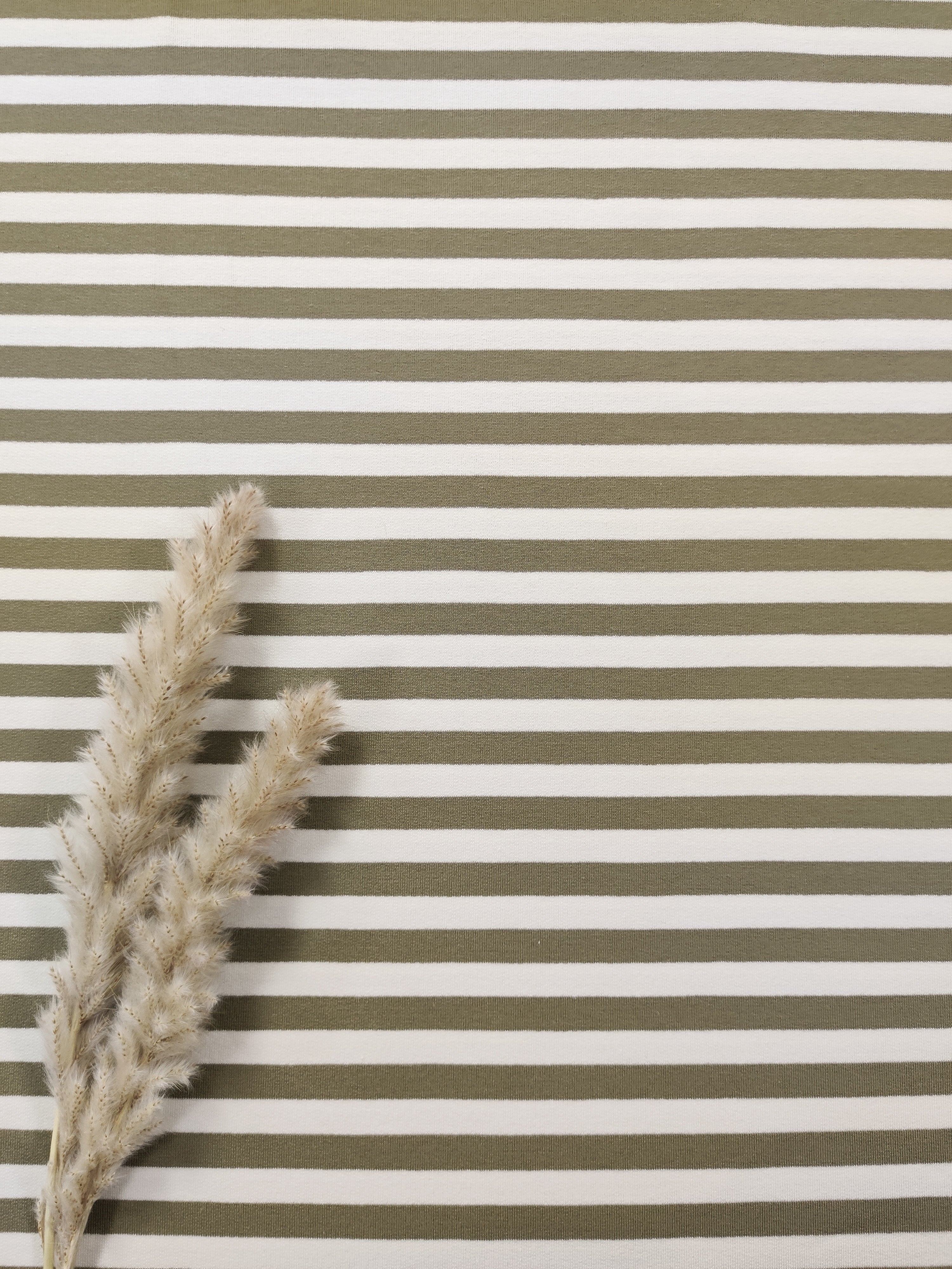 French Terry ligné - Kaki