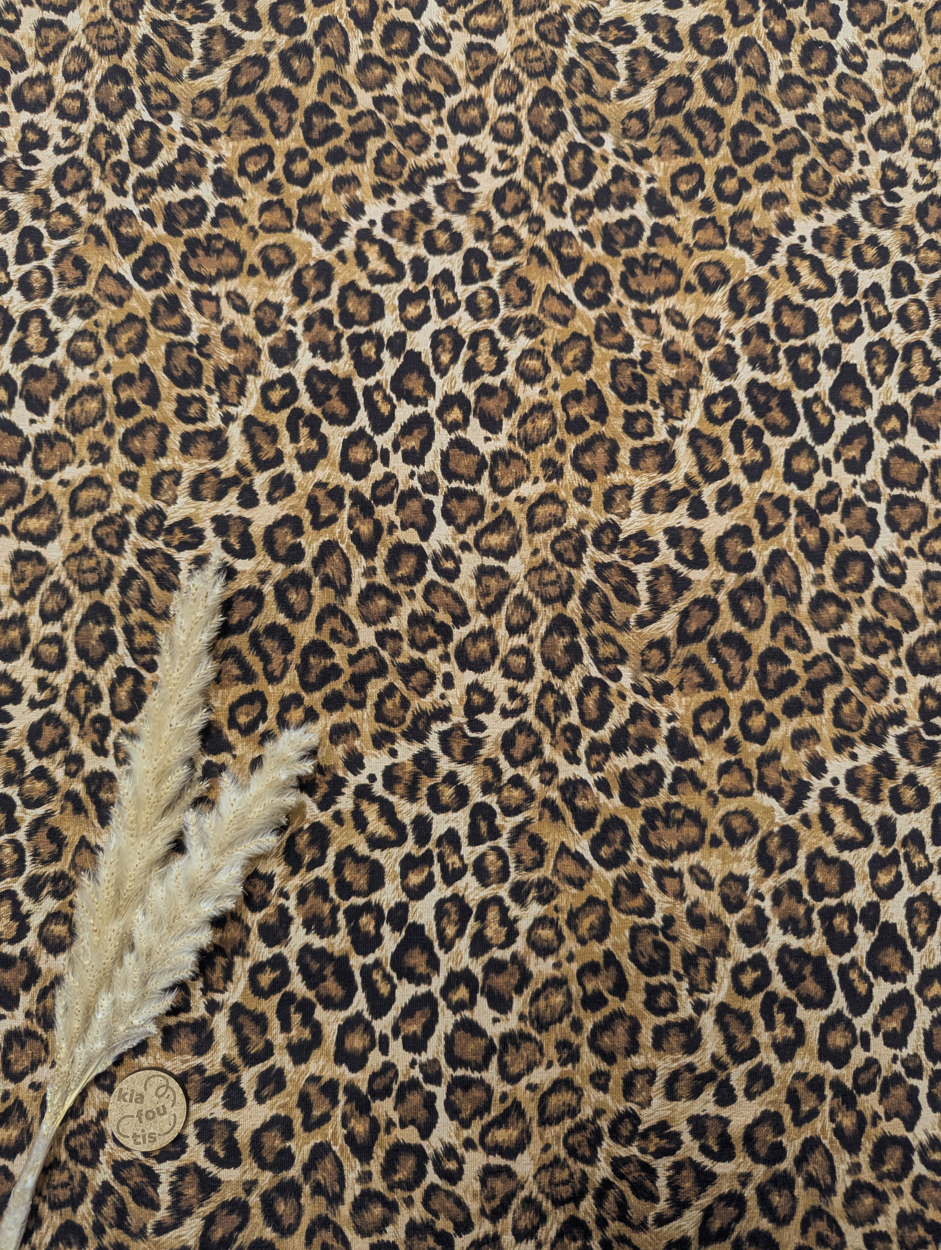 Jersey de coton graou - camel