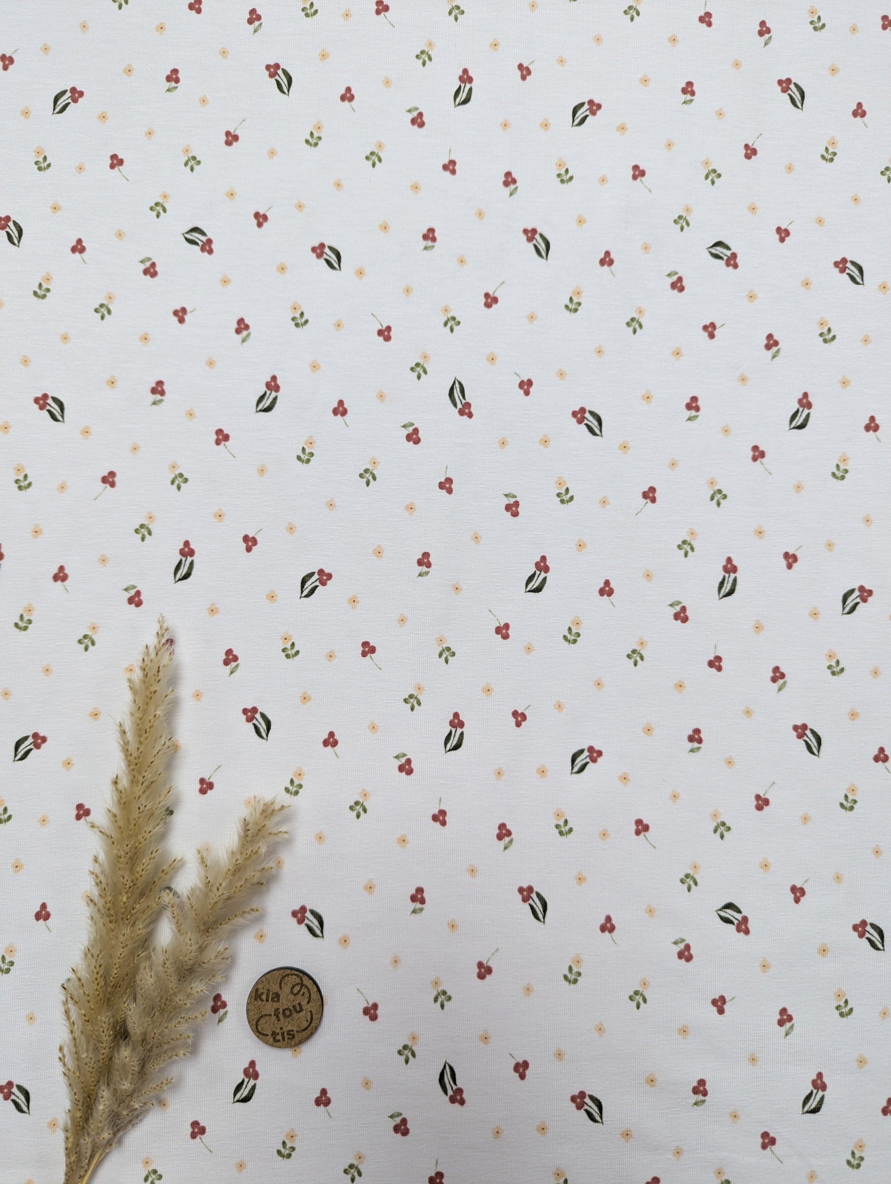 Jersey de coton blanc BIO - mignonnerie