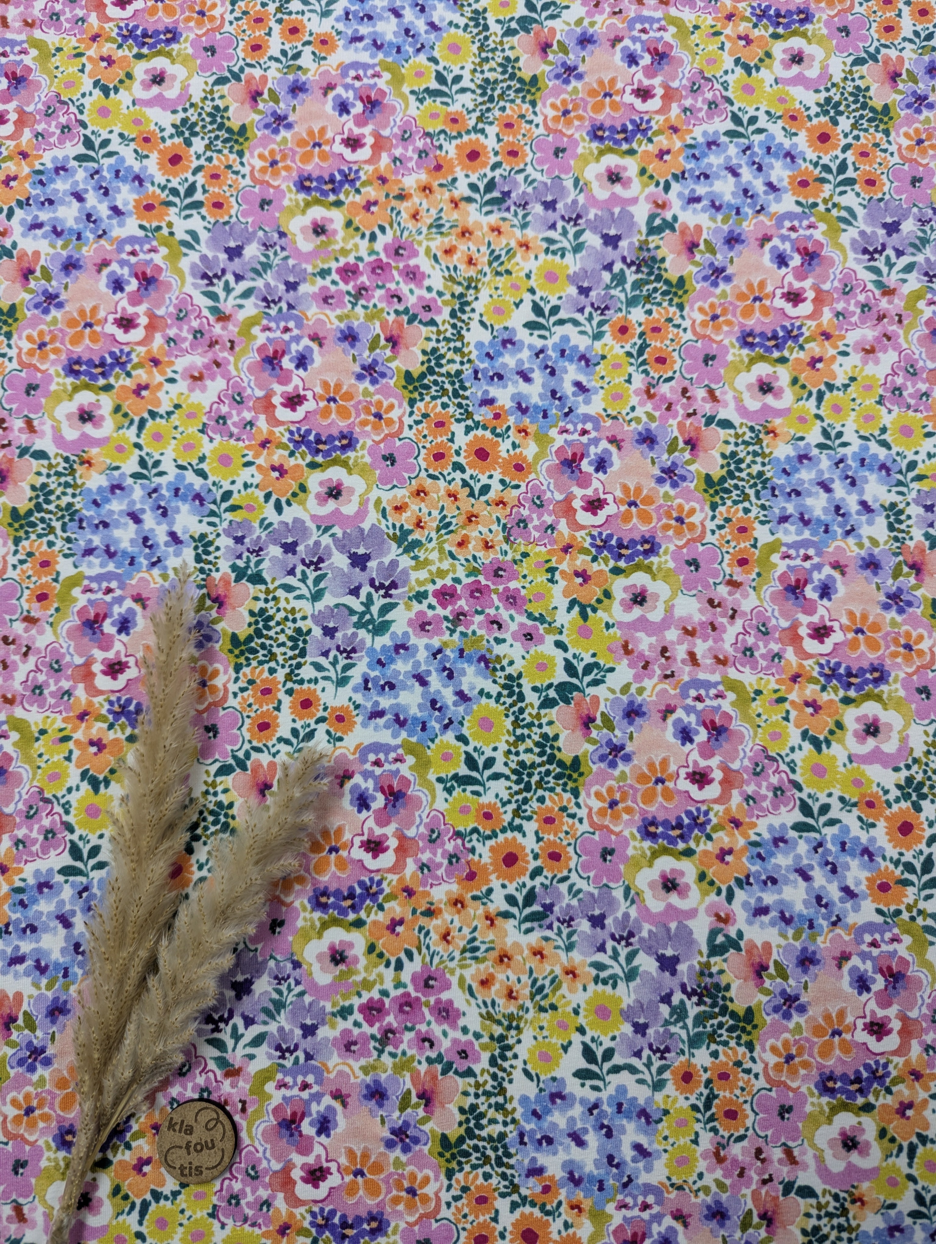 Jersey de coton écru - couleurs à foison