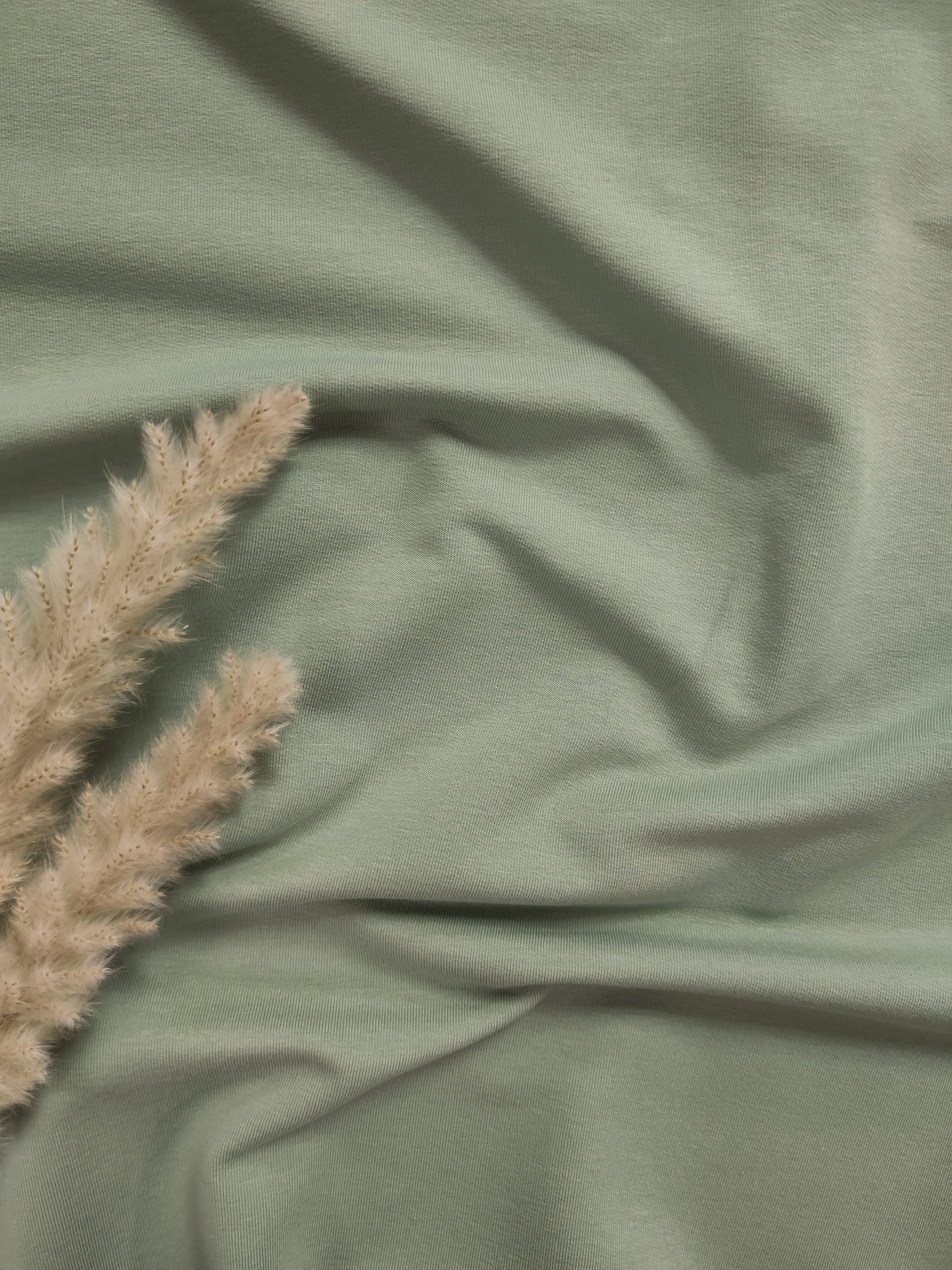 Bord-côte BIO - Vert de gris