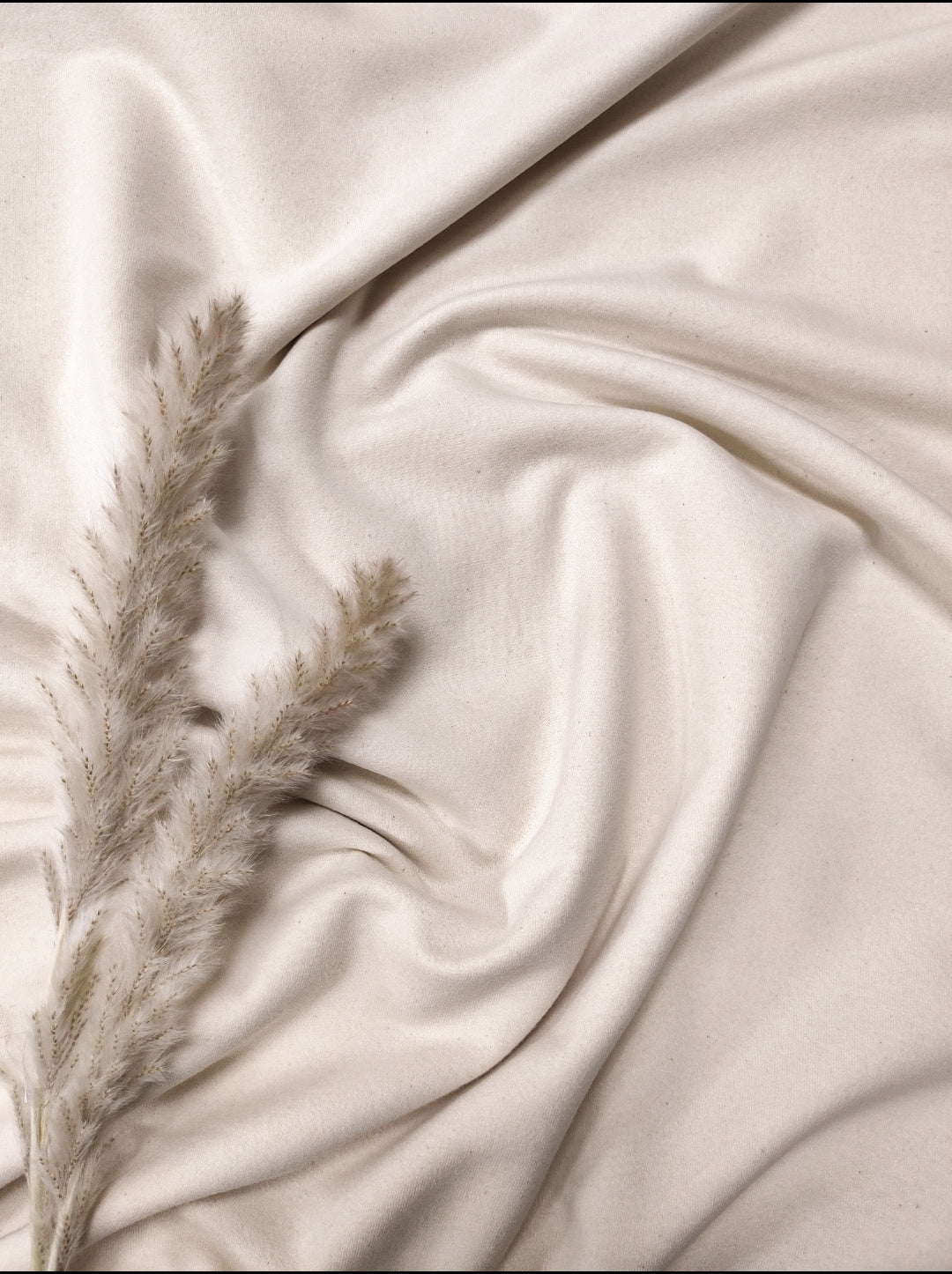 French terry BIO - Beige naturel