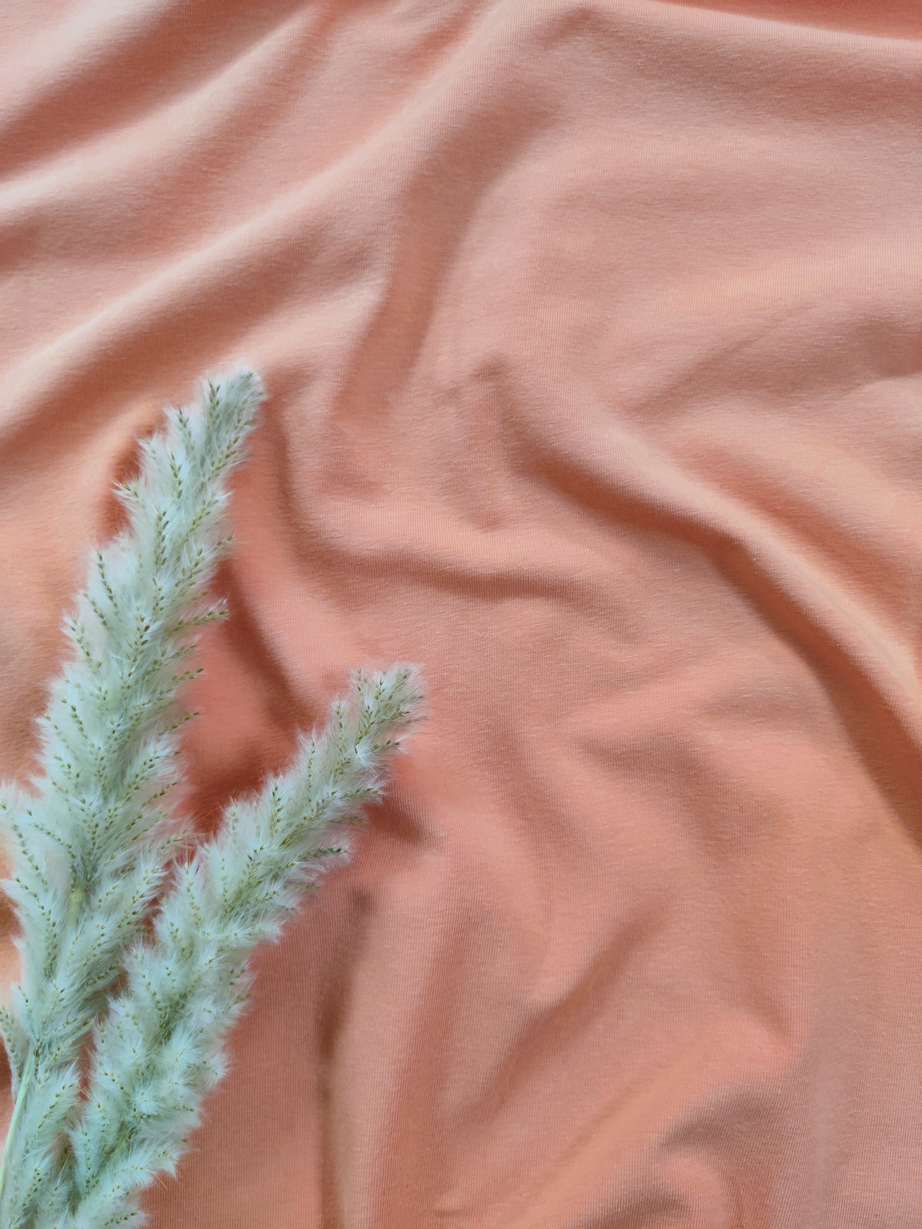 Jersey de coton - Melon