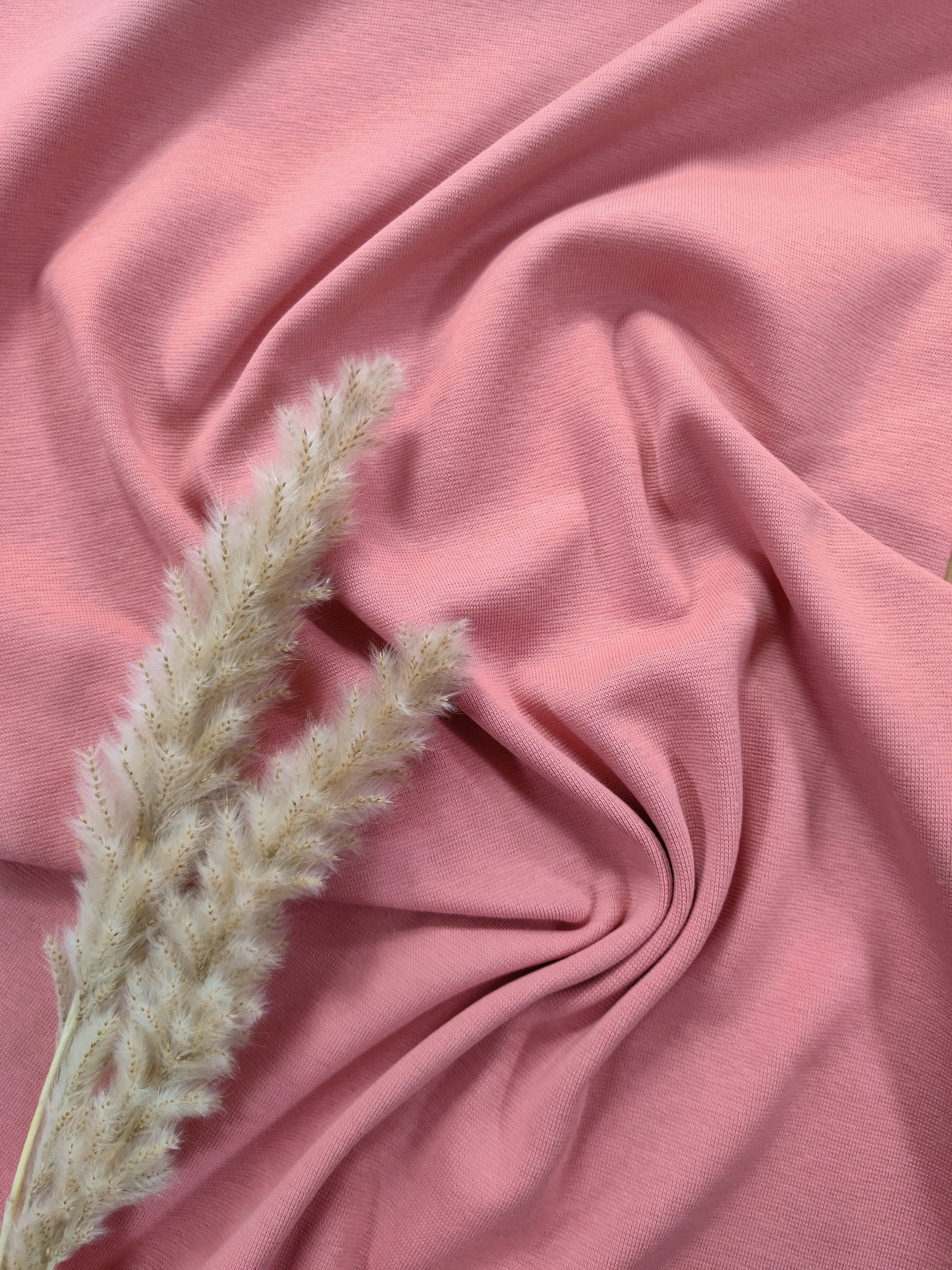 Bord-côte BIO - Vieux rose