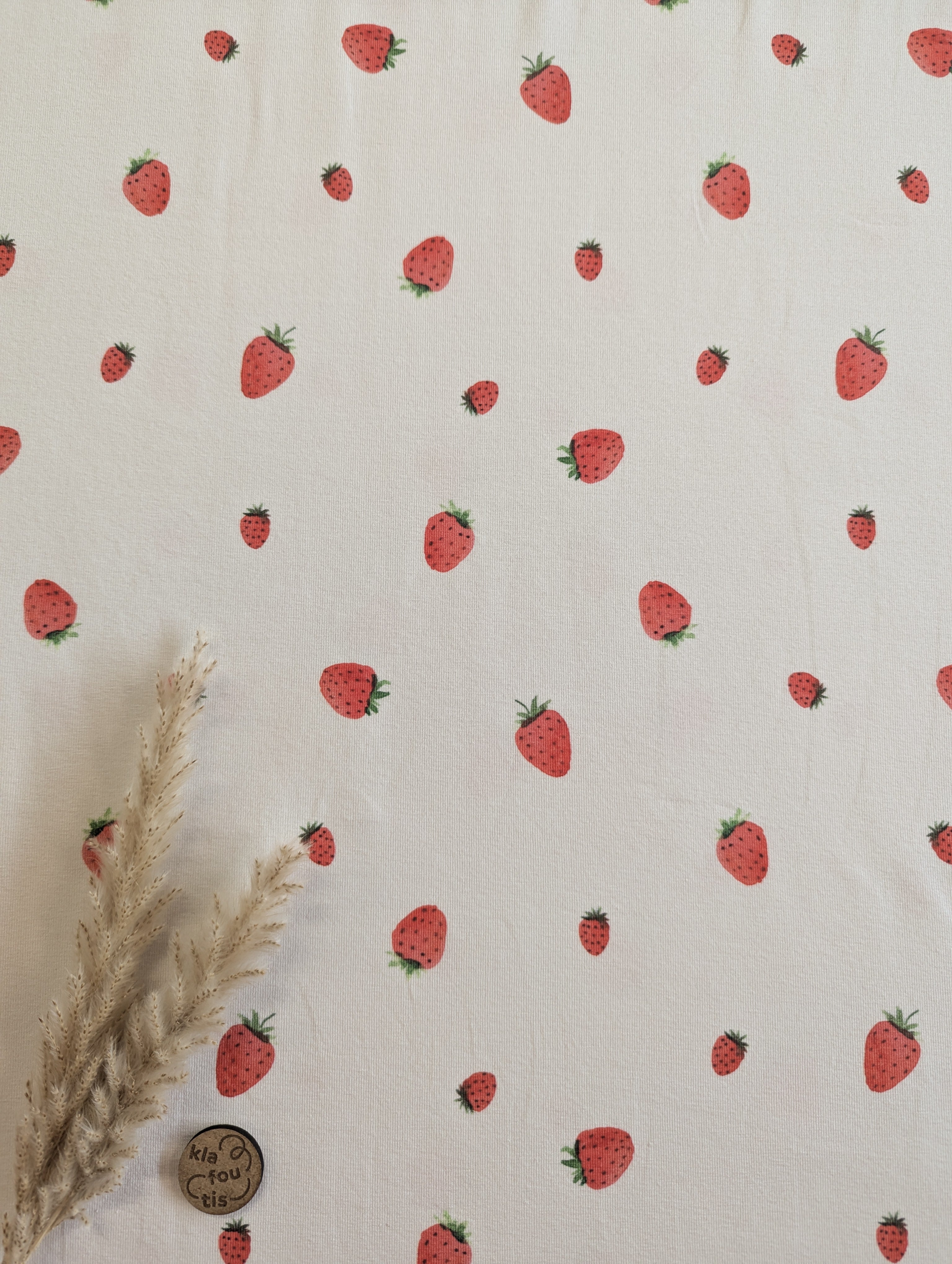 Jersey de coton BIO écru - charlotte aux fraises