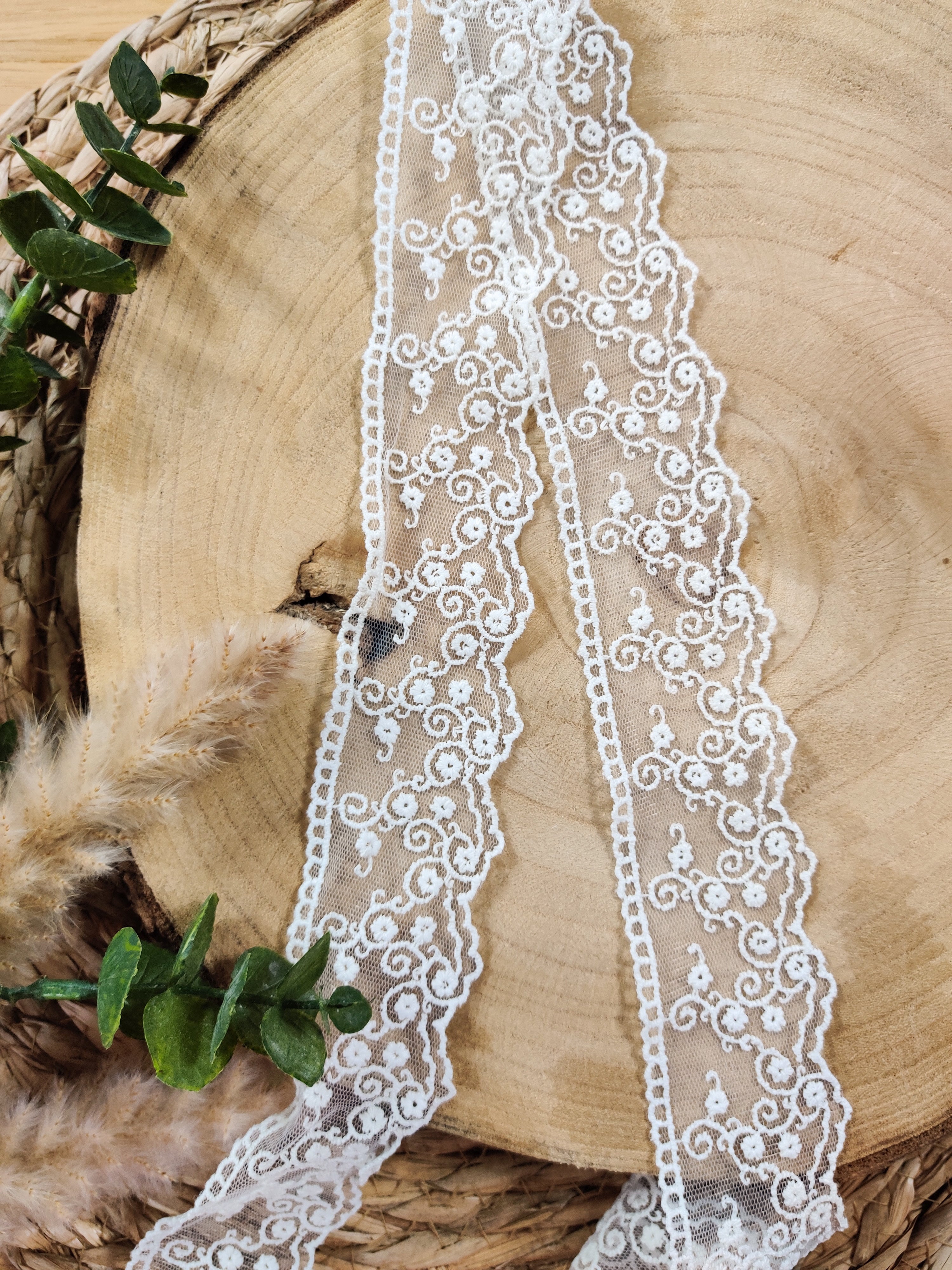 Dentelle tulle 4,5 cm - Ecru