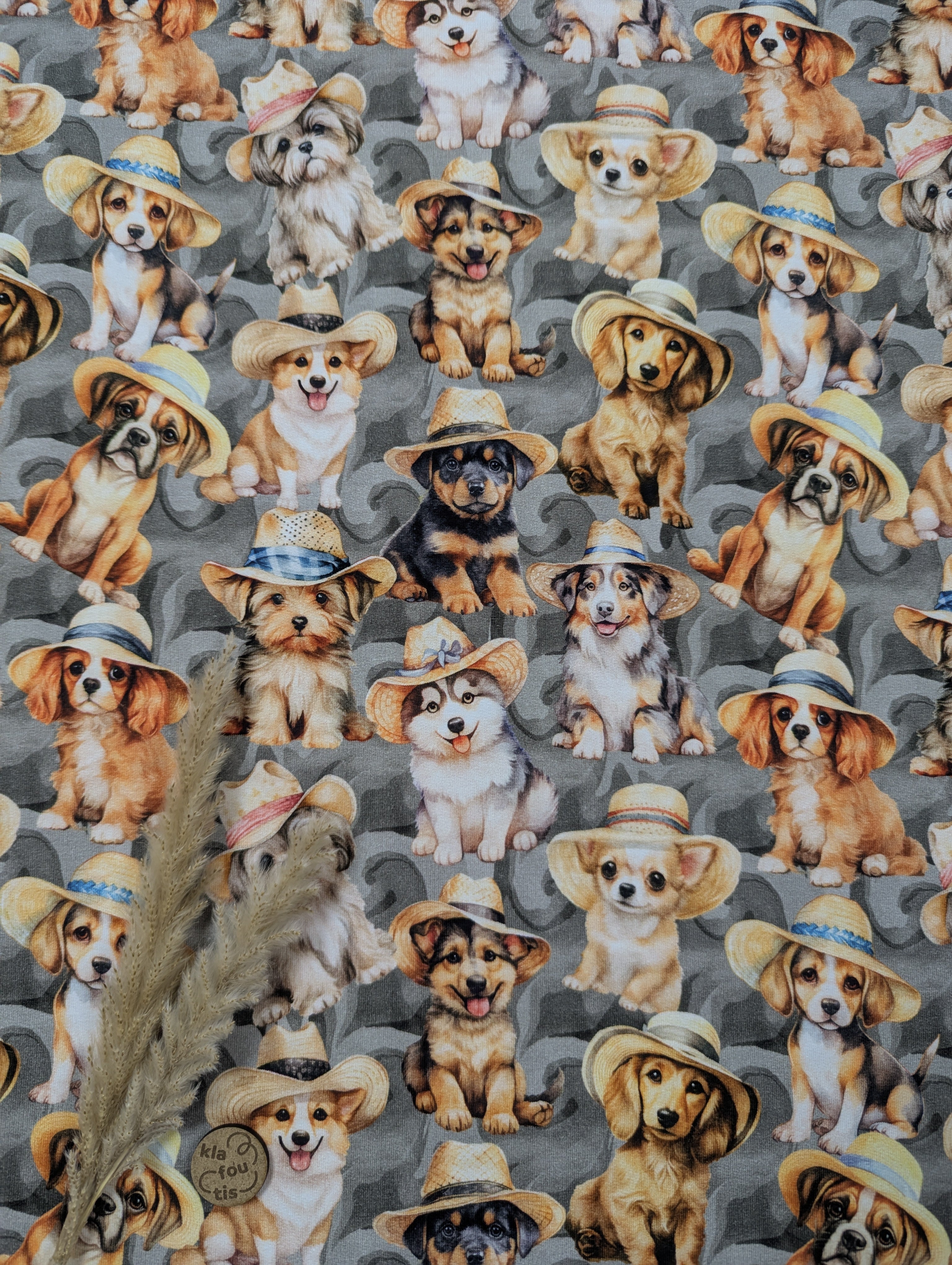 French Terry - parler à un chien avec un chapeau