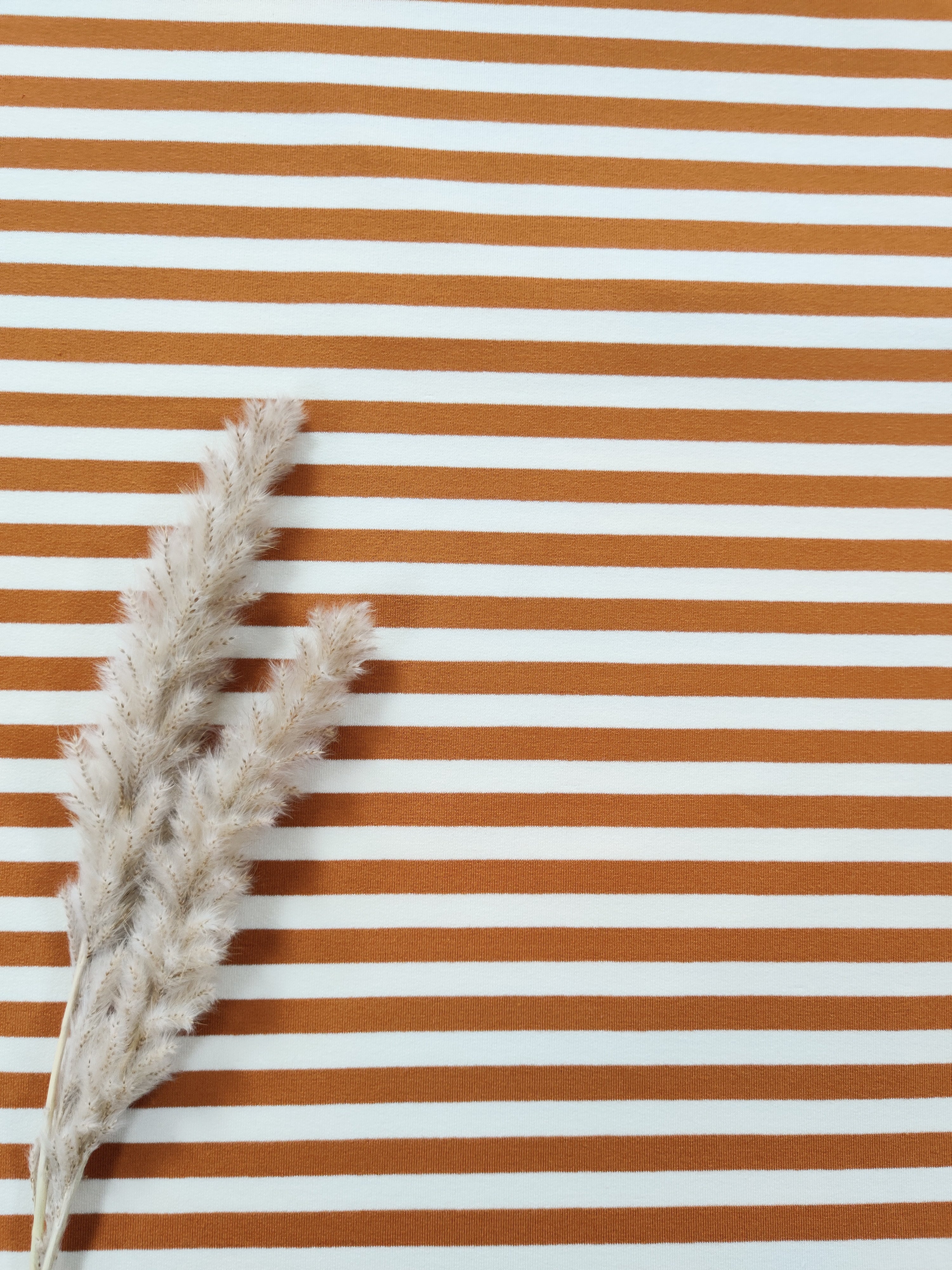 French Terry ligné - Caramel