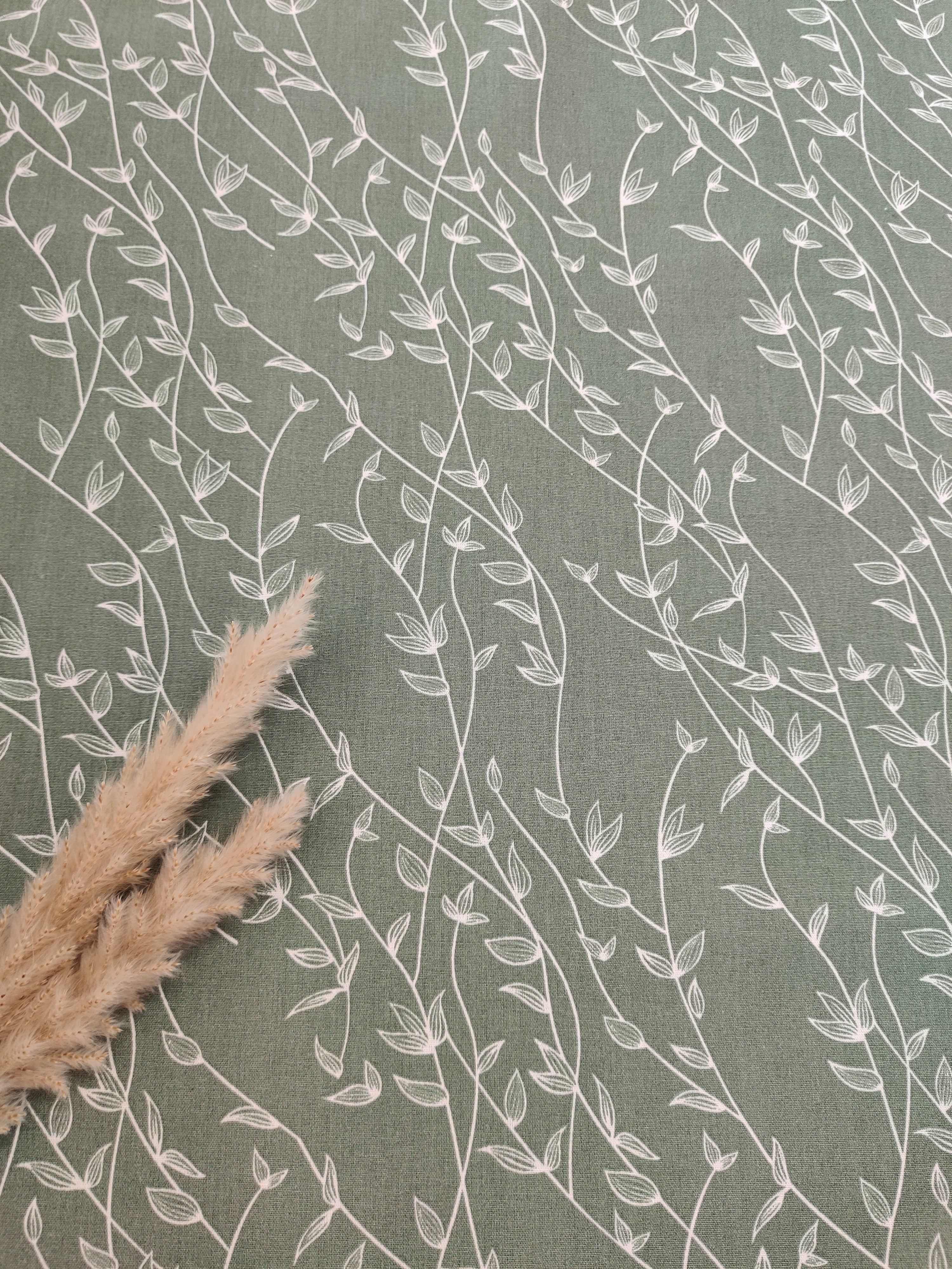 Popeline de coton kaki - Brindilles grimpantes