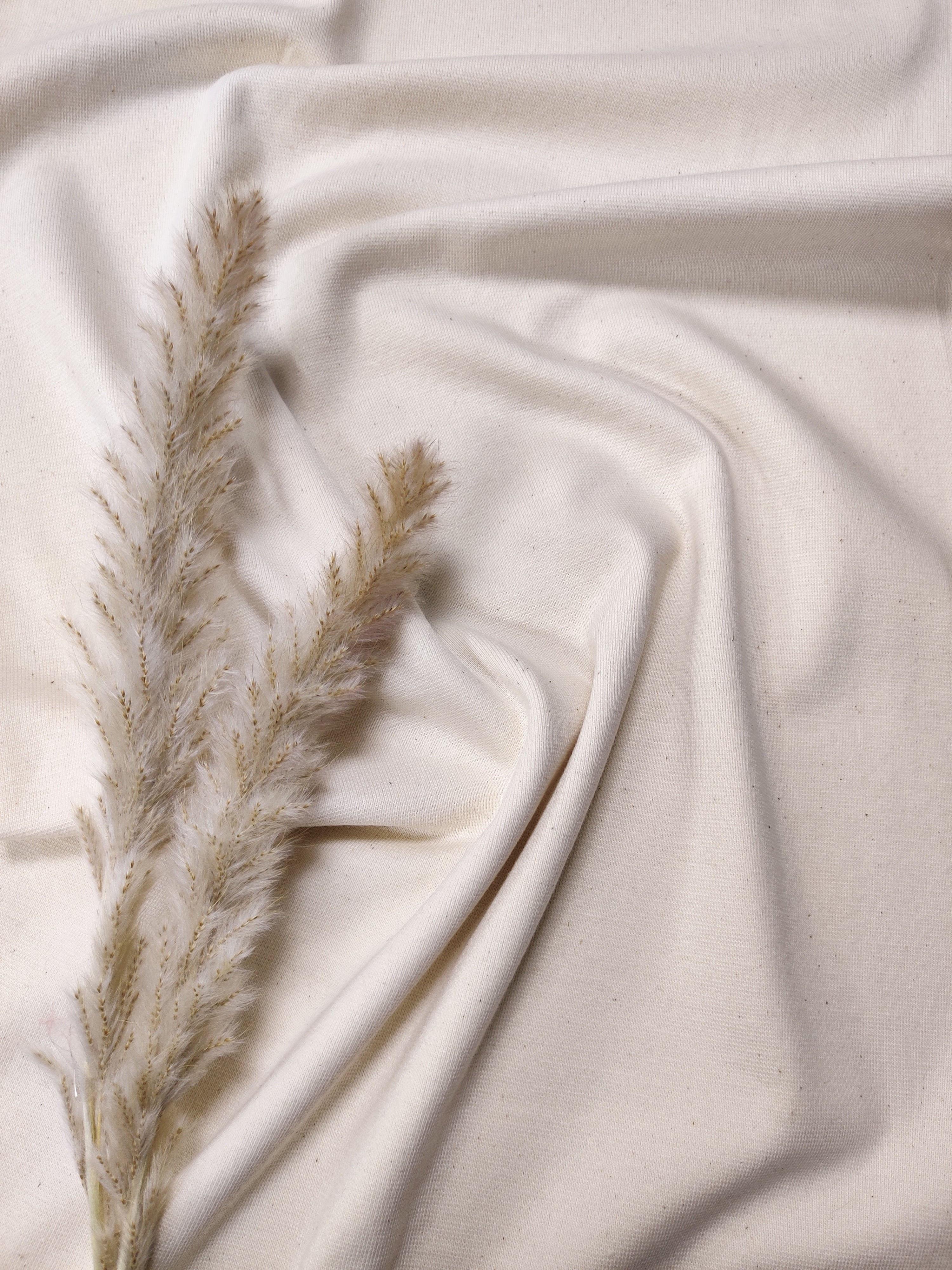 Bord-côte BIO - Beige naturel