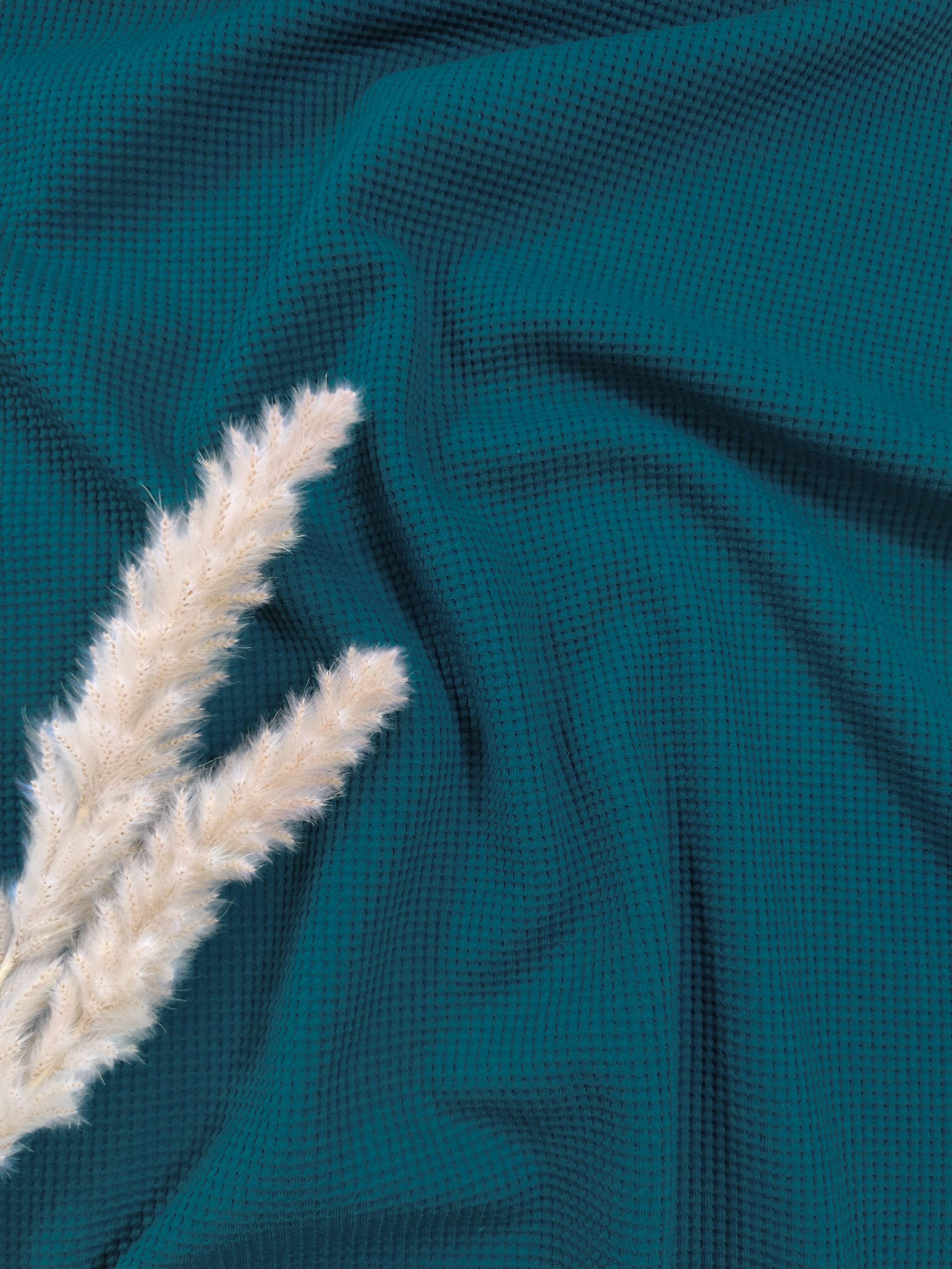 Jersey de coton gaufré BIO - Pétrole