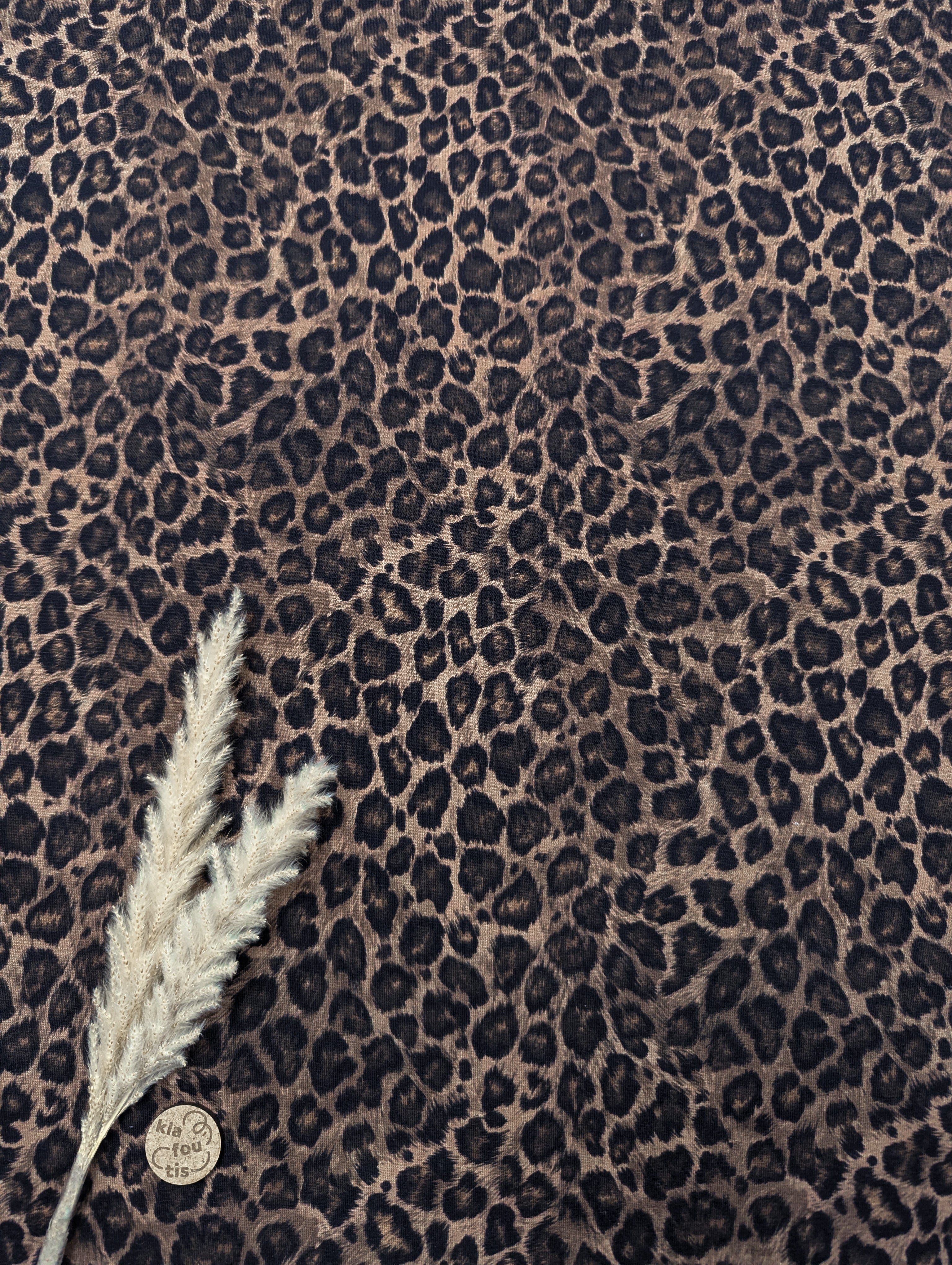 Jersey de coton graou - chocolat