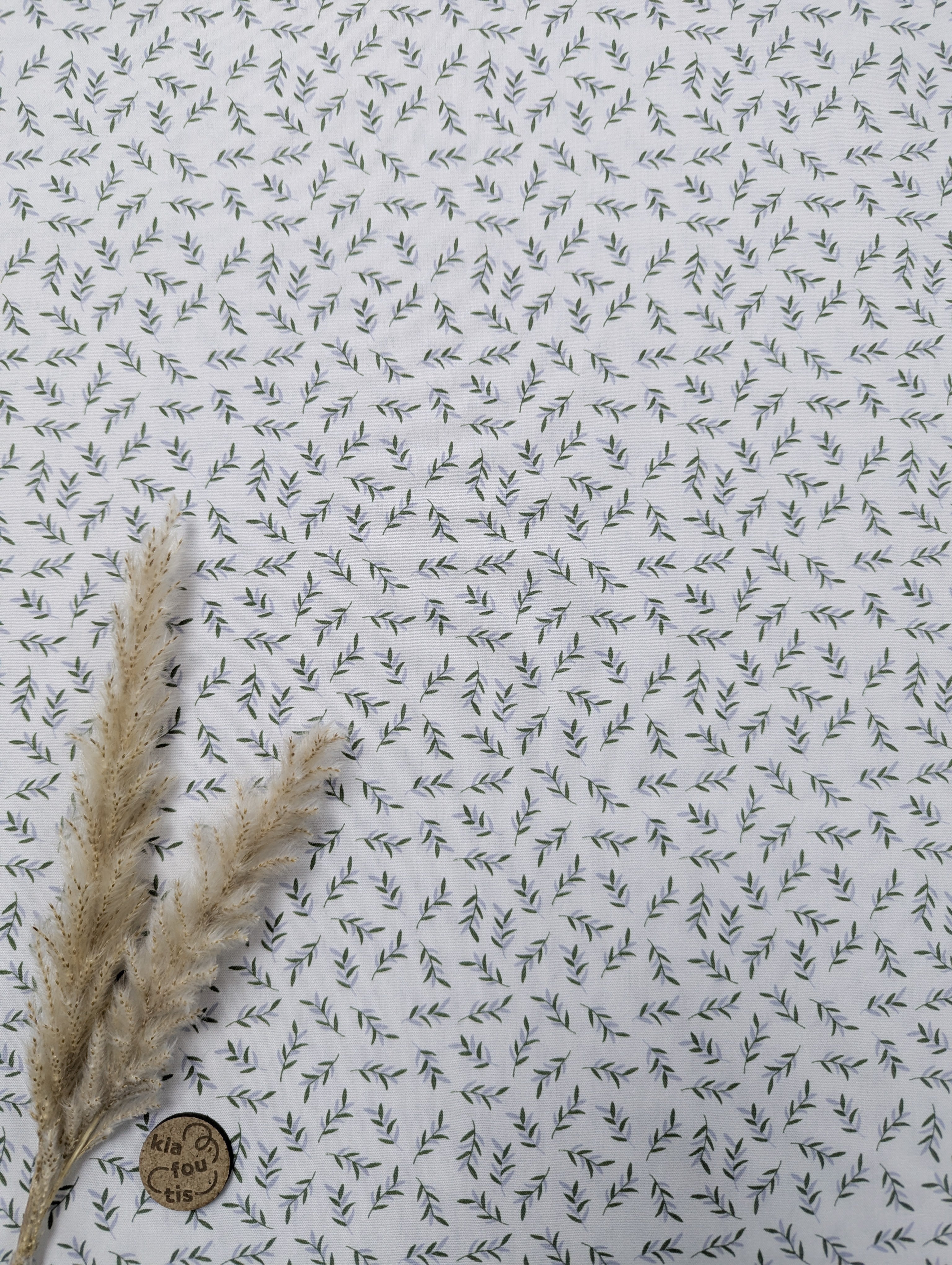 Popeline de coton écru - petites fougères