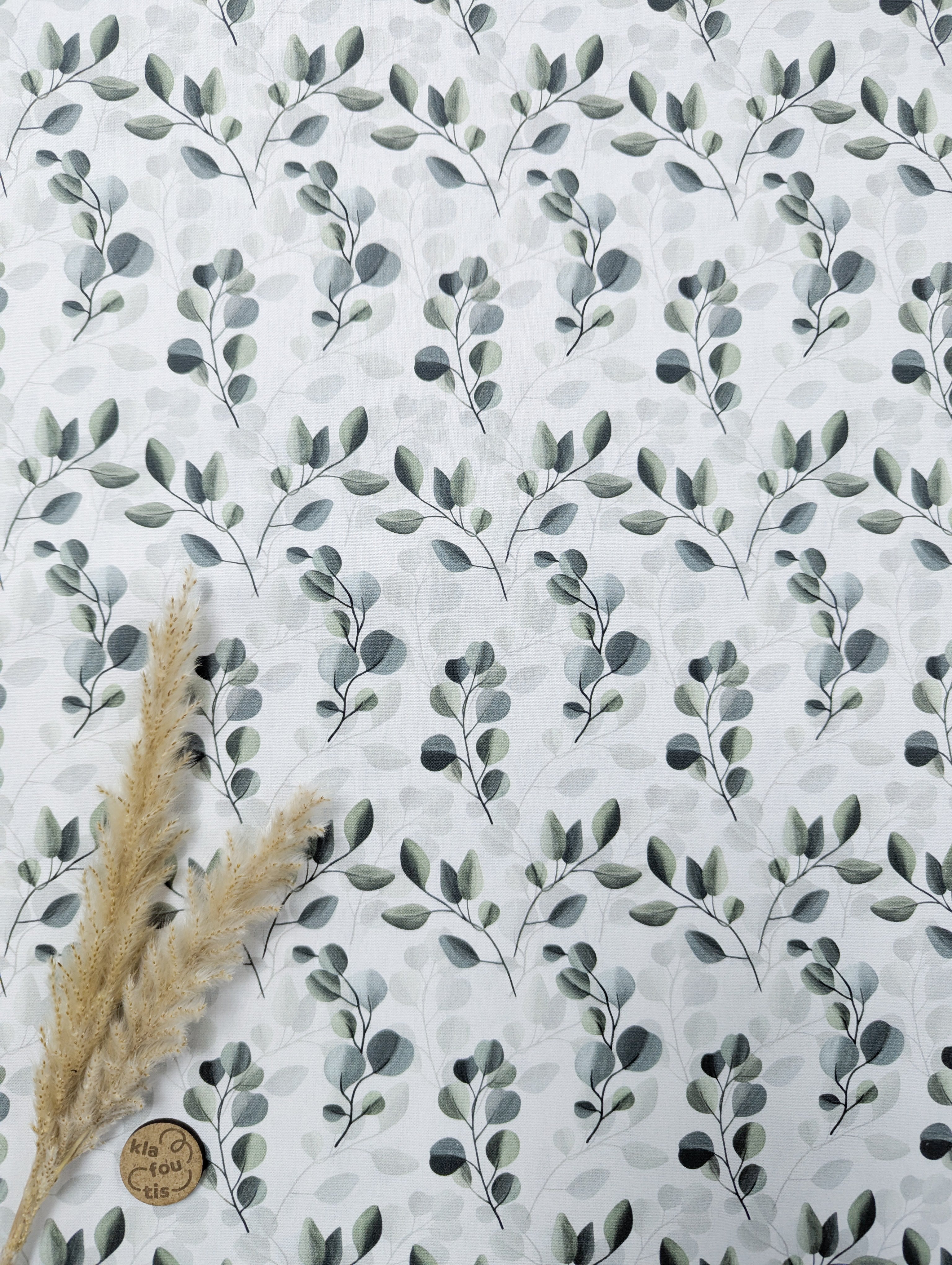 Popeline de coton blanche - Eucalyptus doux