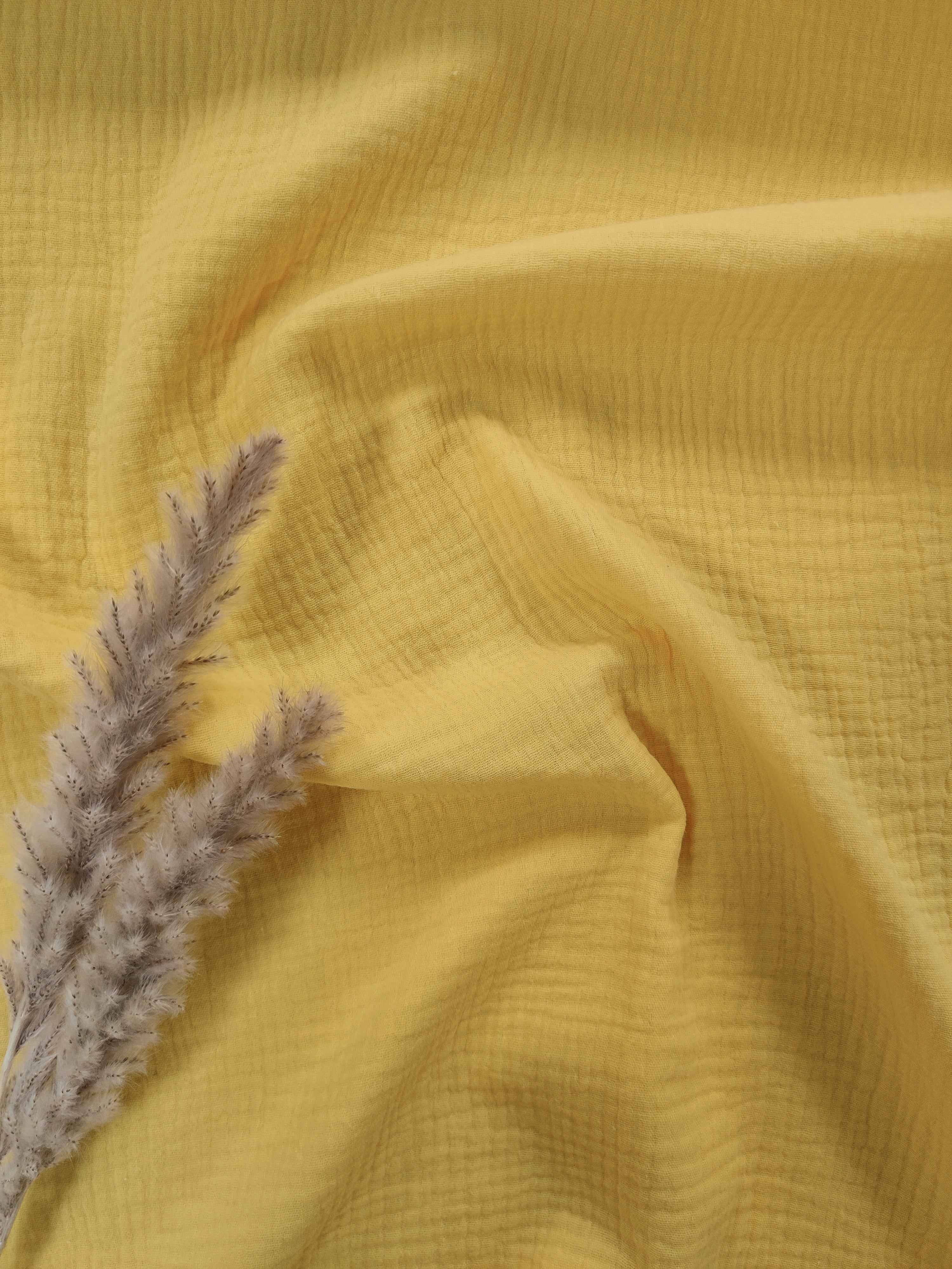 Double gaze - soleil