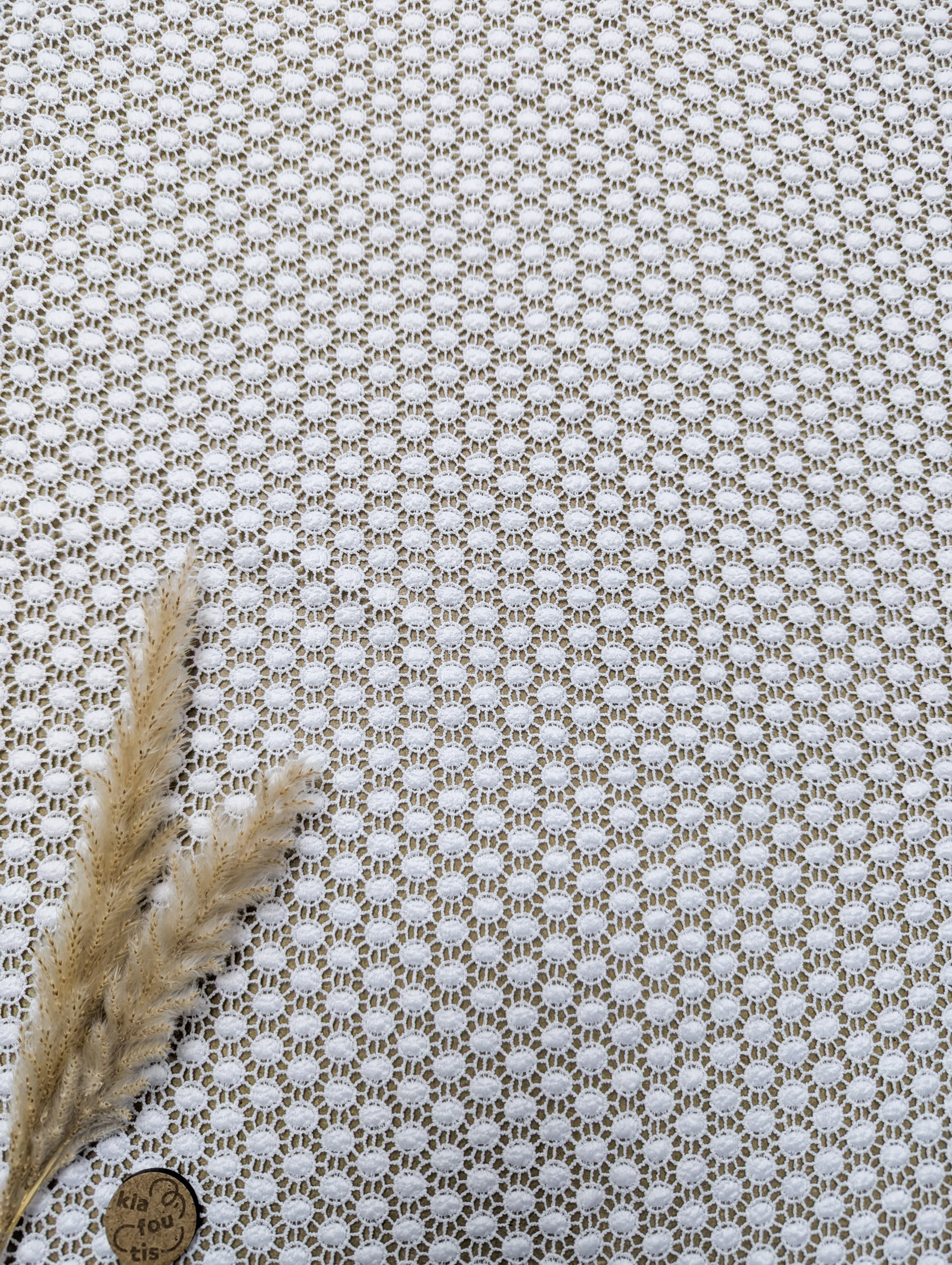 Dentelle blanche à pois