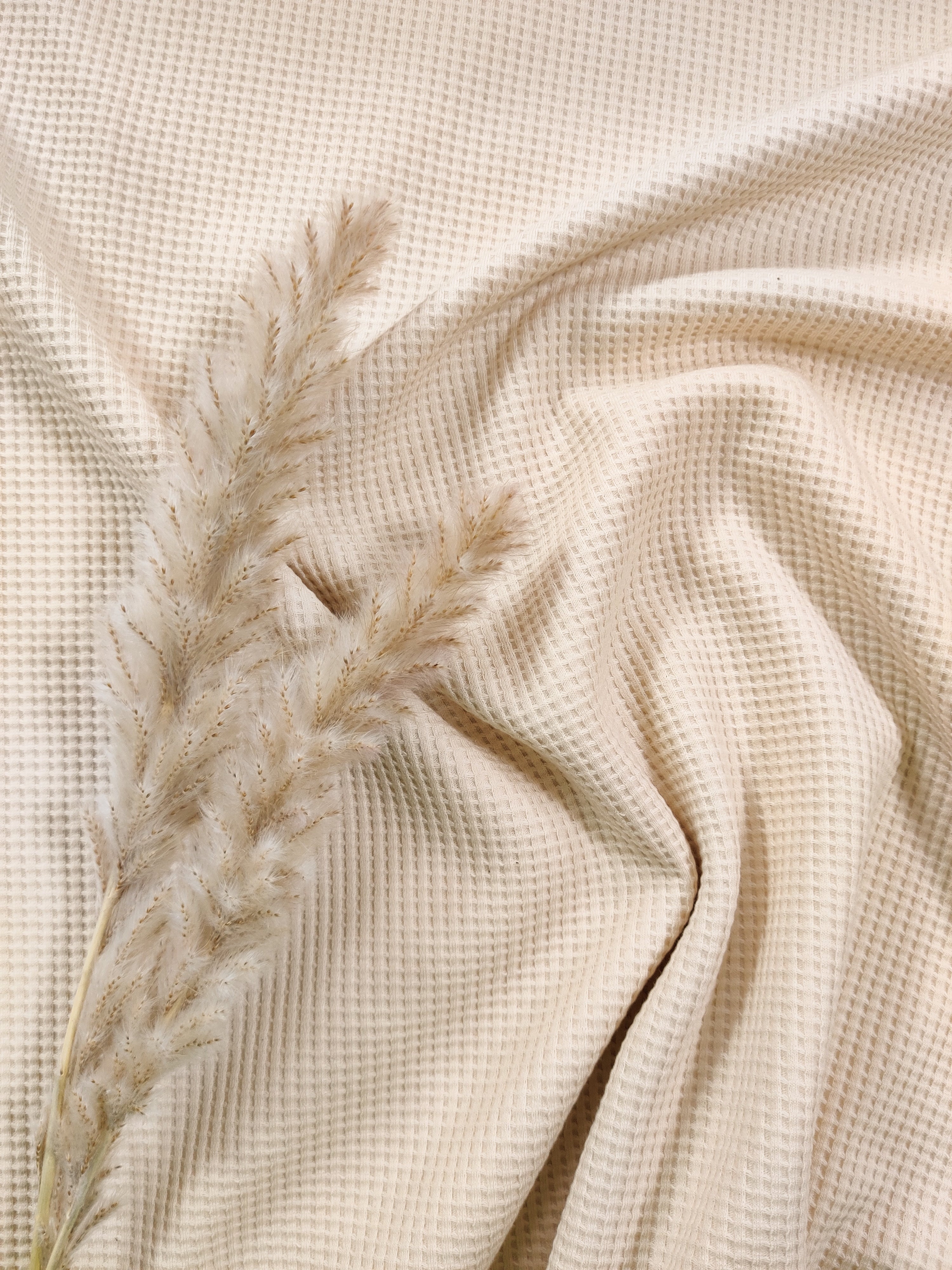 Jersey de coton gaufré BIO - Champagne